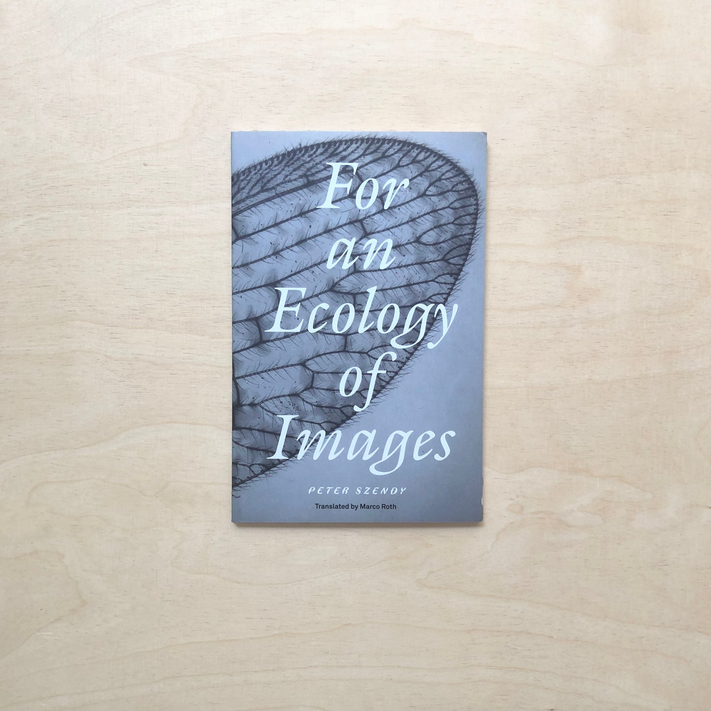 For an Ecology of Images