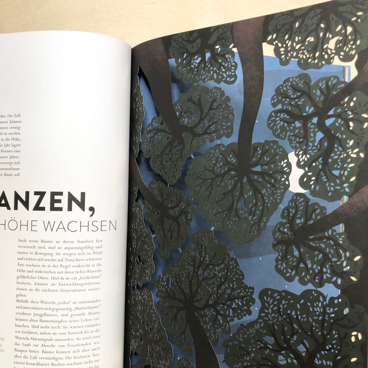 Pflanzen - Grüne Wunder unserer Erde