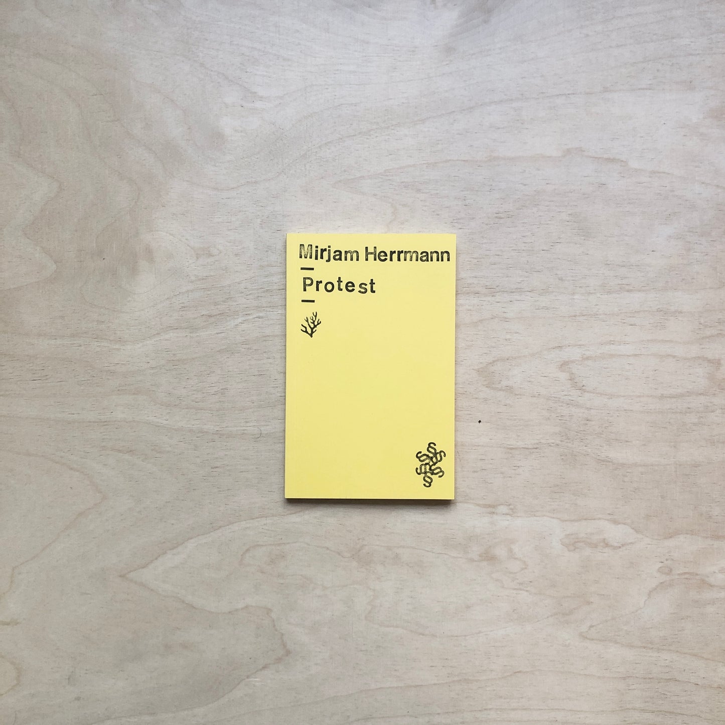 Protest - Mirjam Herrmann