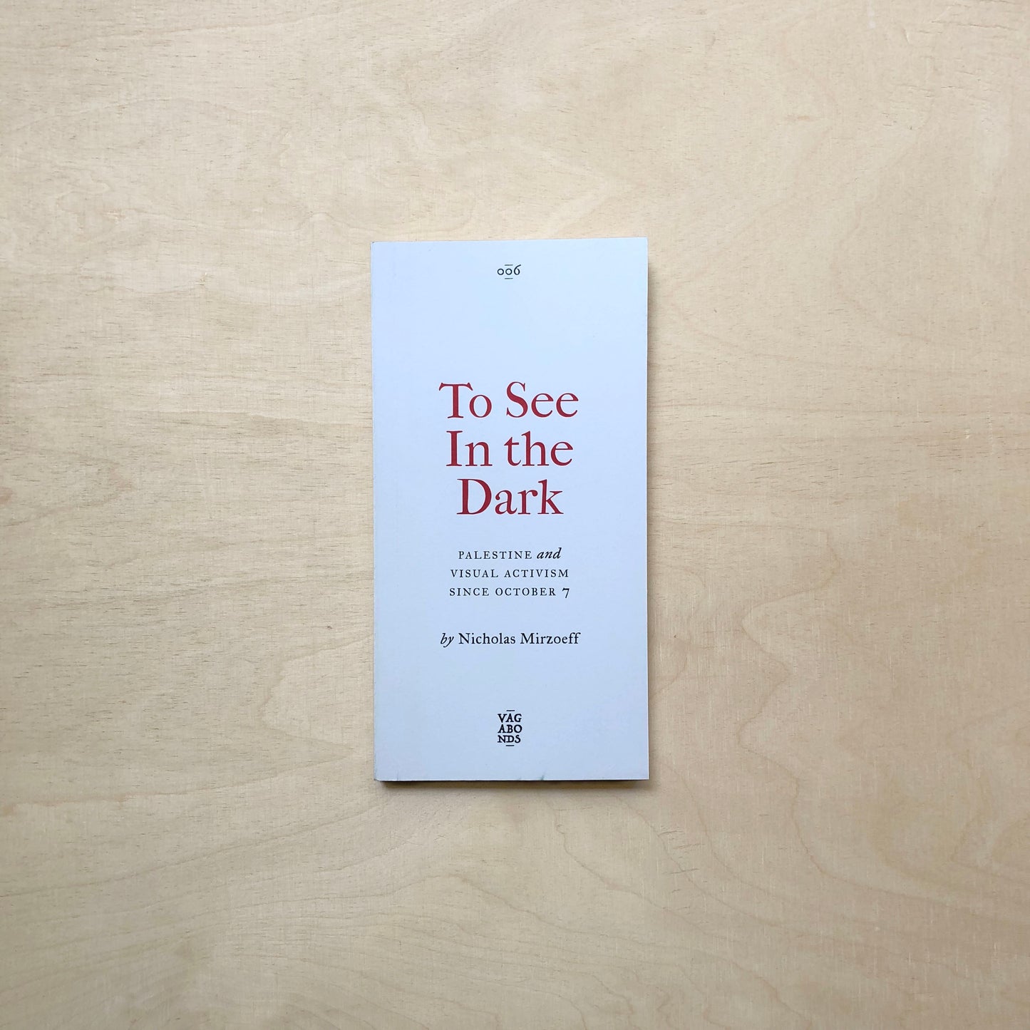 To See In the Dark - Palestine and Visual Activism Since October 7