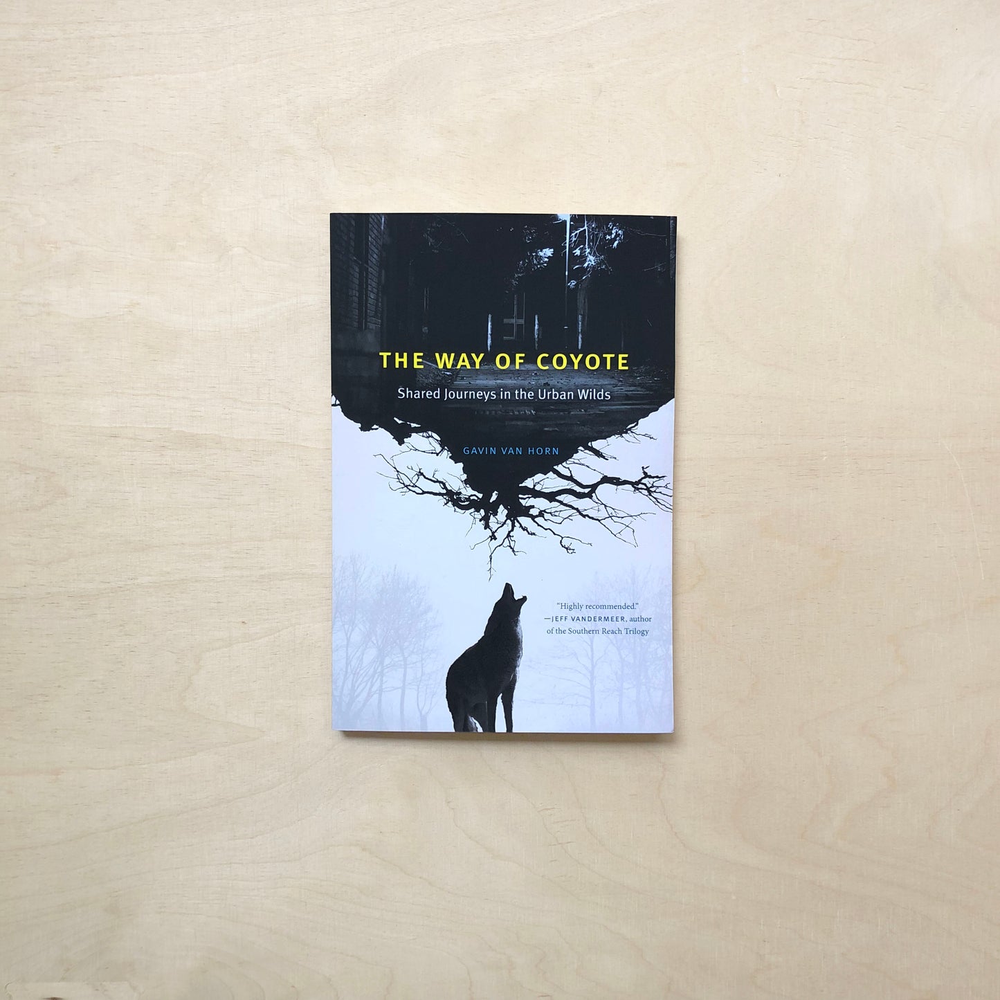 The Way of Coyote - Shared Journeys in the Urban Wilds