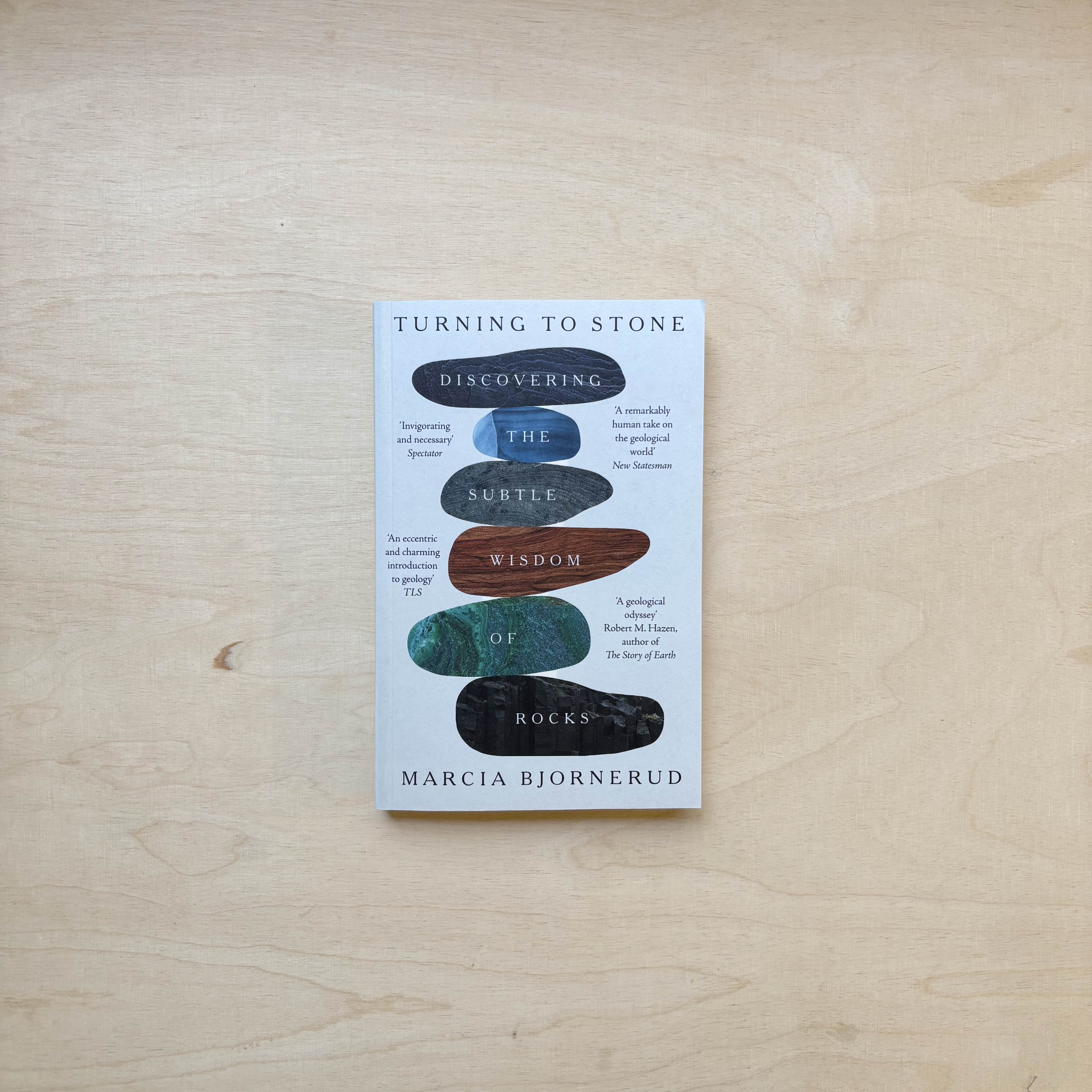 Turning to Stone - Paperback – Zabriskie Buchladen für Kultur und