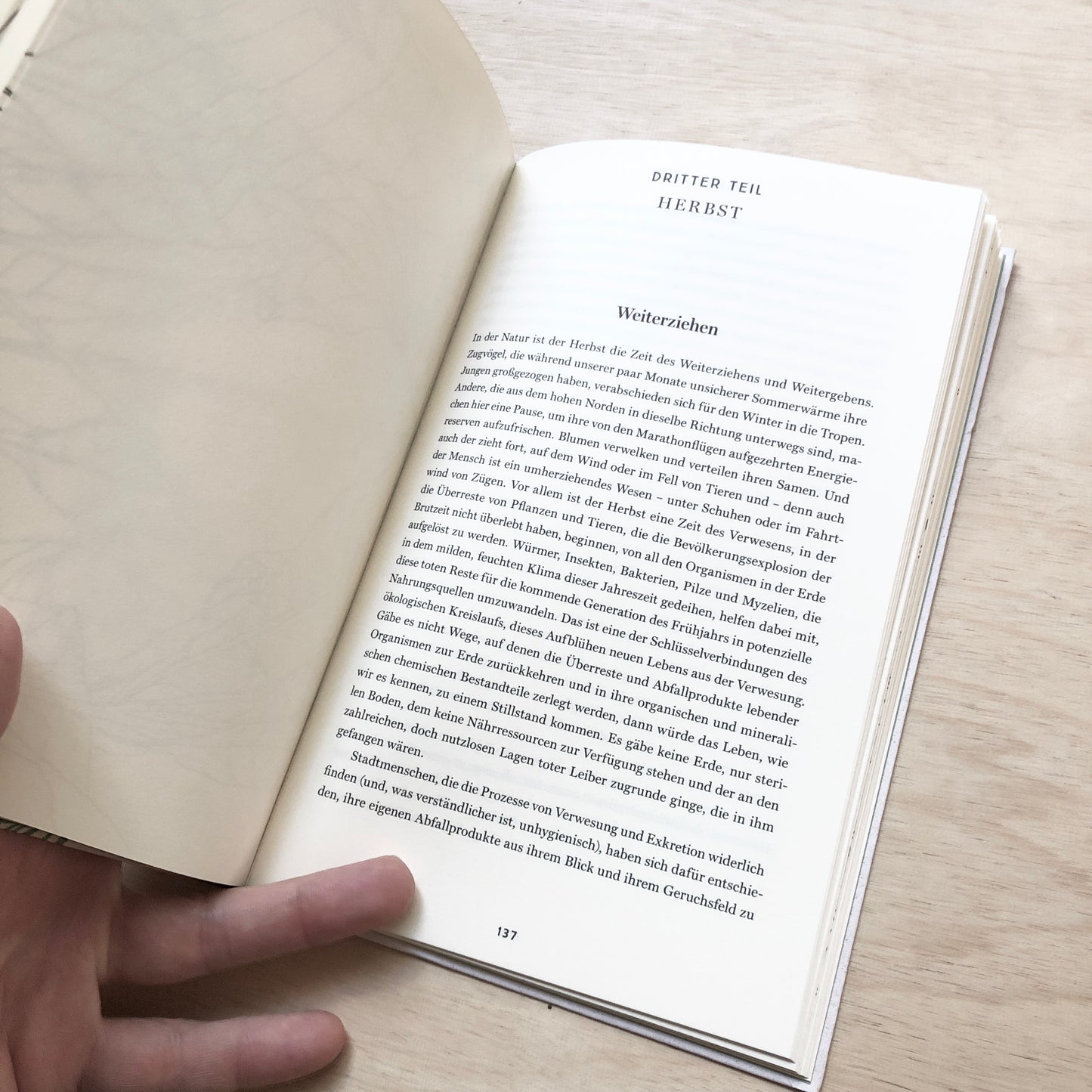 Uneigentliche Landschaft