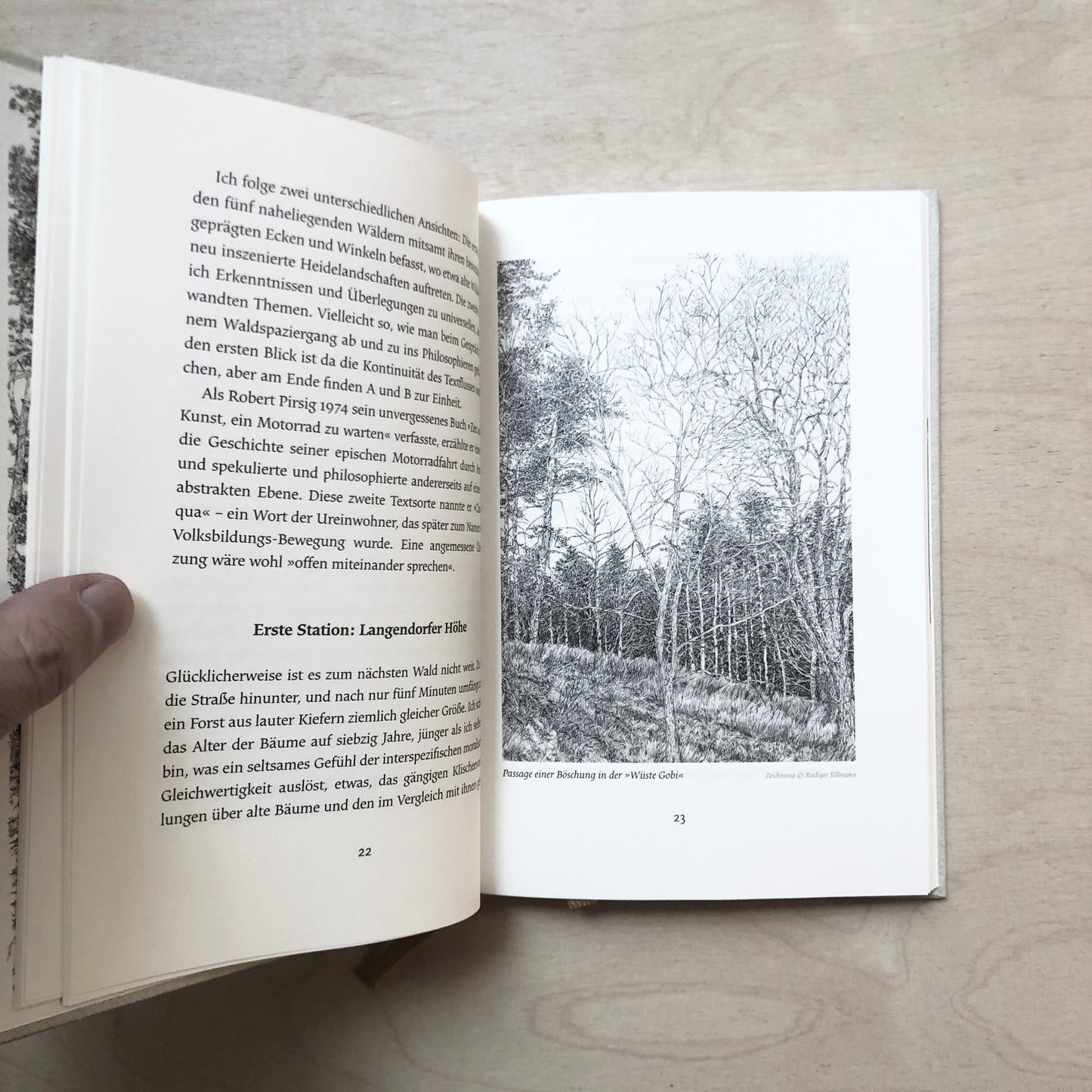 Unter Bäumen - European Essays on Nature and Landscape