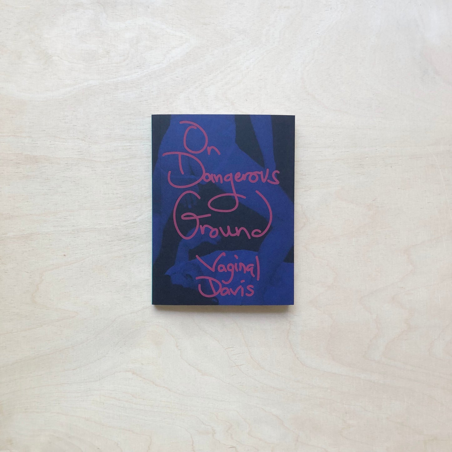 Vaginal Davis: On Dangerous Ground