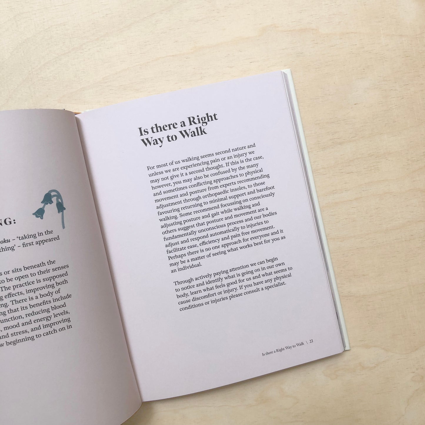 Walk - Find your path to happiness and mindfulness in nature