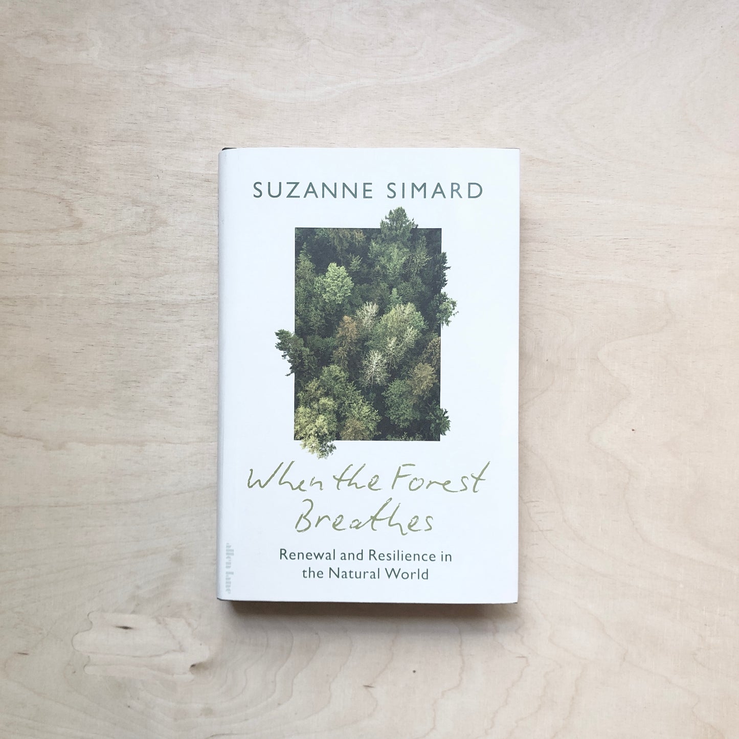 When the Forest Breathes - Renewal and Resilience in the Natural World