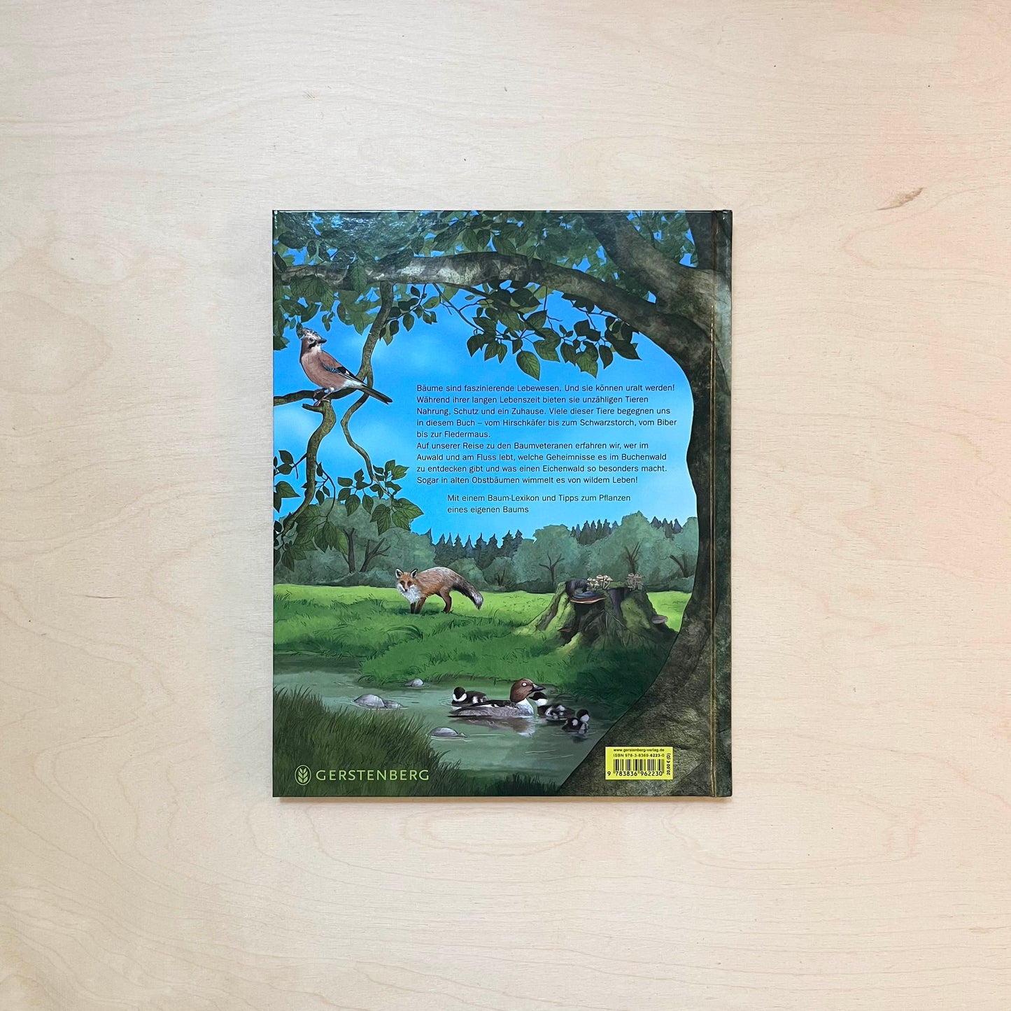 Wildes Leben in alten Bäumen