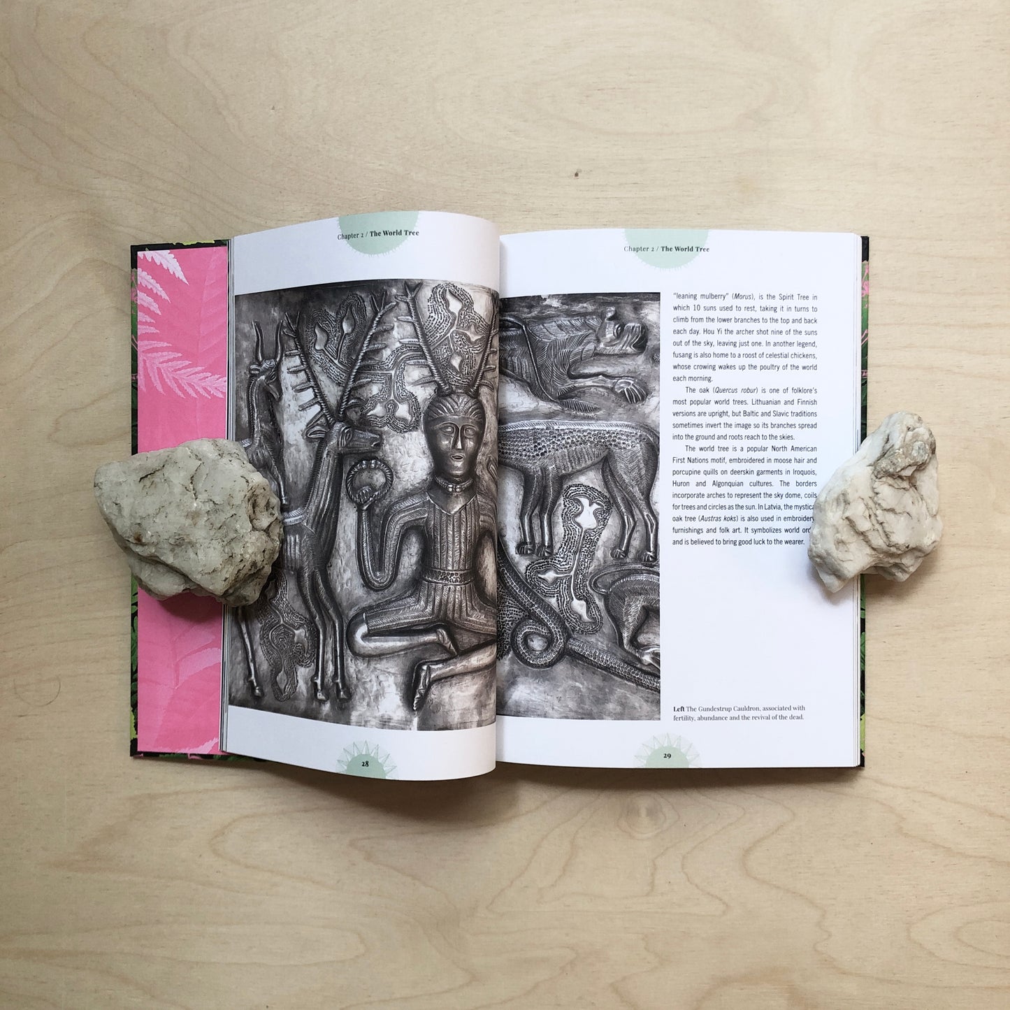 Witch's Forest - Trees in magic, folklore and traditional remedies