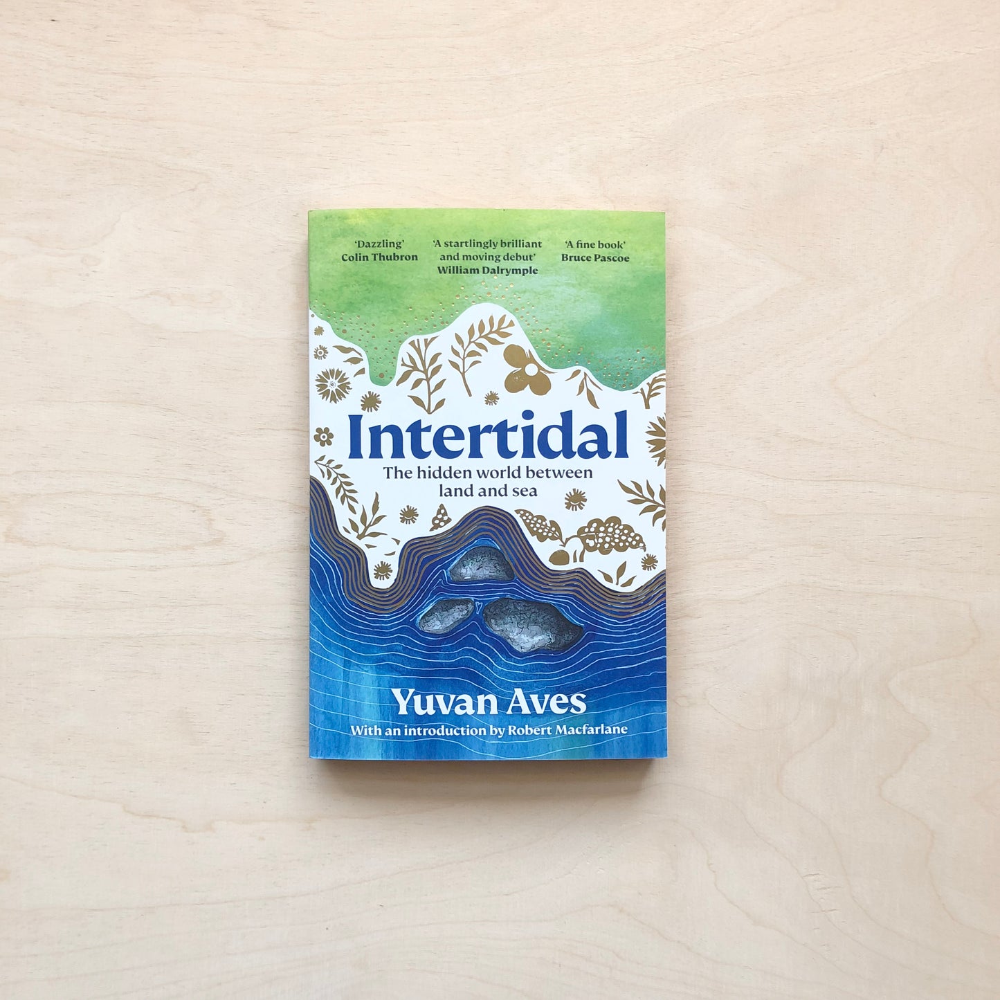 Intertidal - The hidden world between land and sea