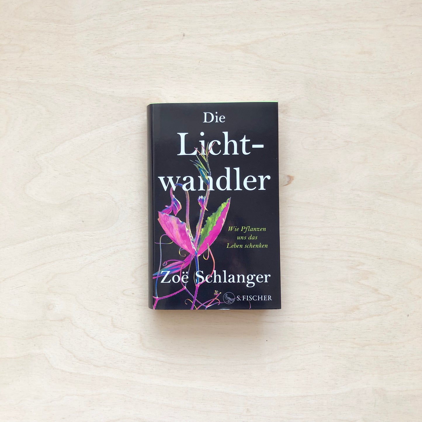 Die Lichtwandler - Wie Pflanzen uns das Leben schenken