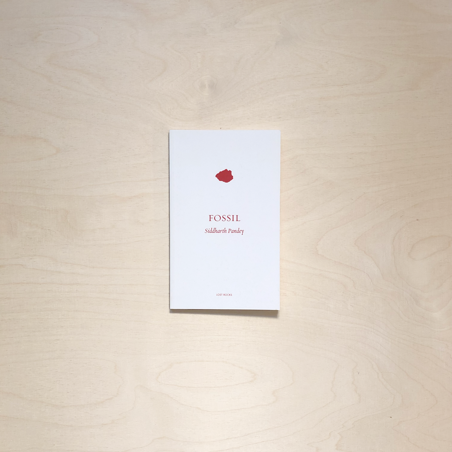 Fossil by Siddharth Pandey - Lost Rocks (41)