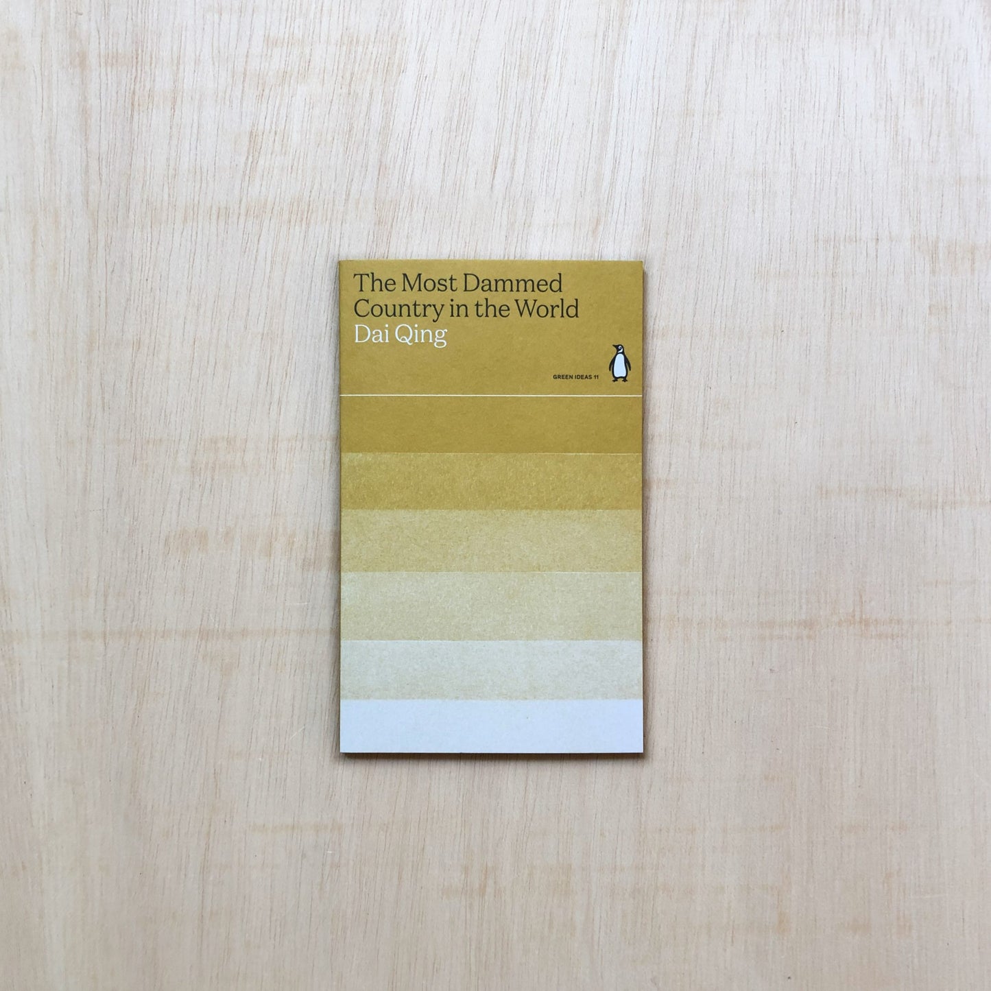 The Most Dammed Country in the World - Green Ideas 11