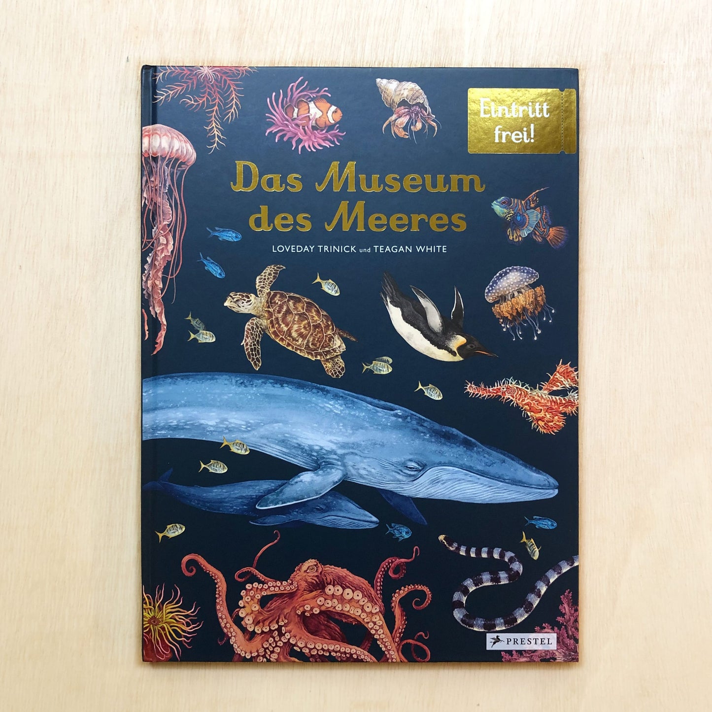 Das Museum des Meeres - Eintritt frei!