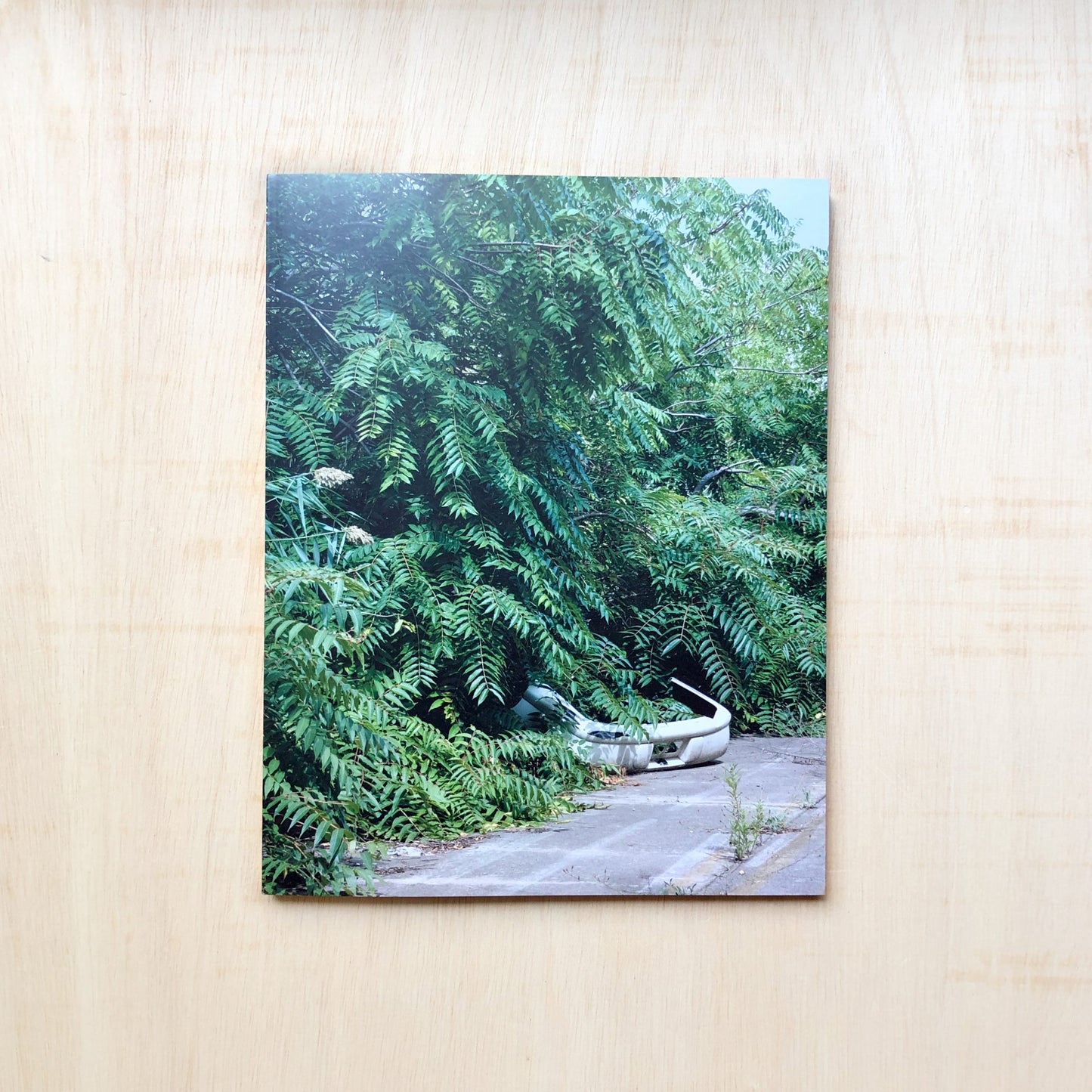 Detroit - Field Notes From a Wild City