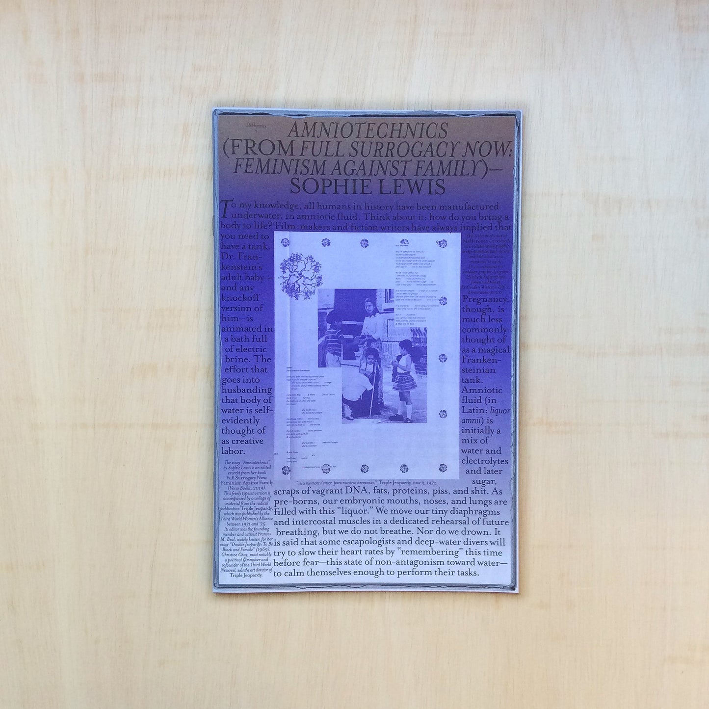 MsHeresies #3 - Amniotechnics (From full surrogacy now: Feminism