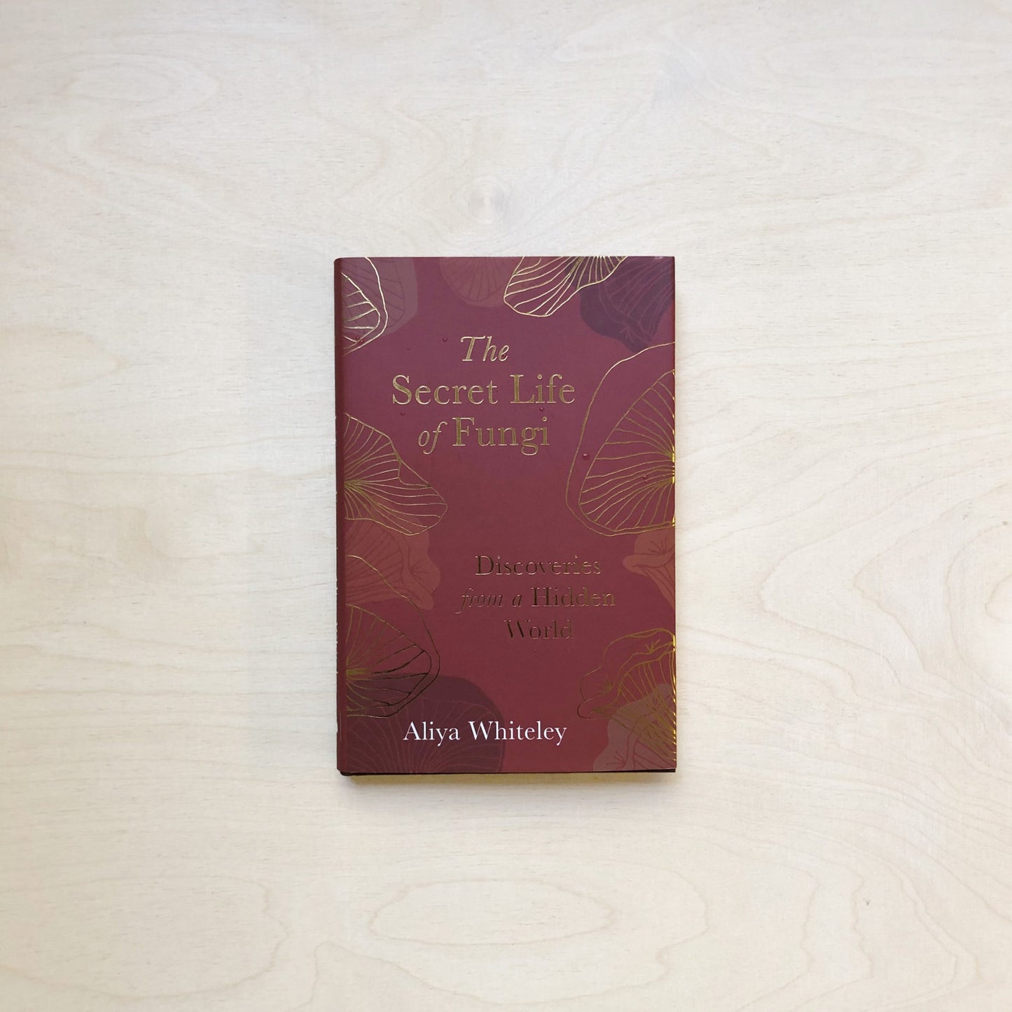 The Secret Life of Fungi - Discoveries From a Hidden World