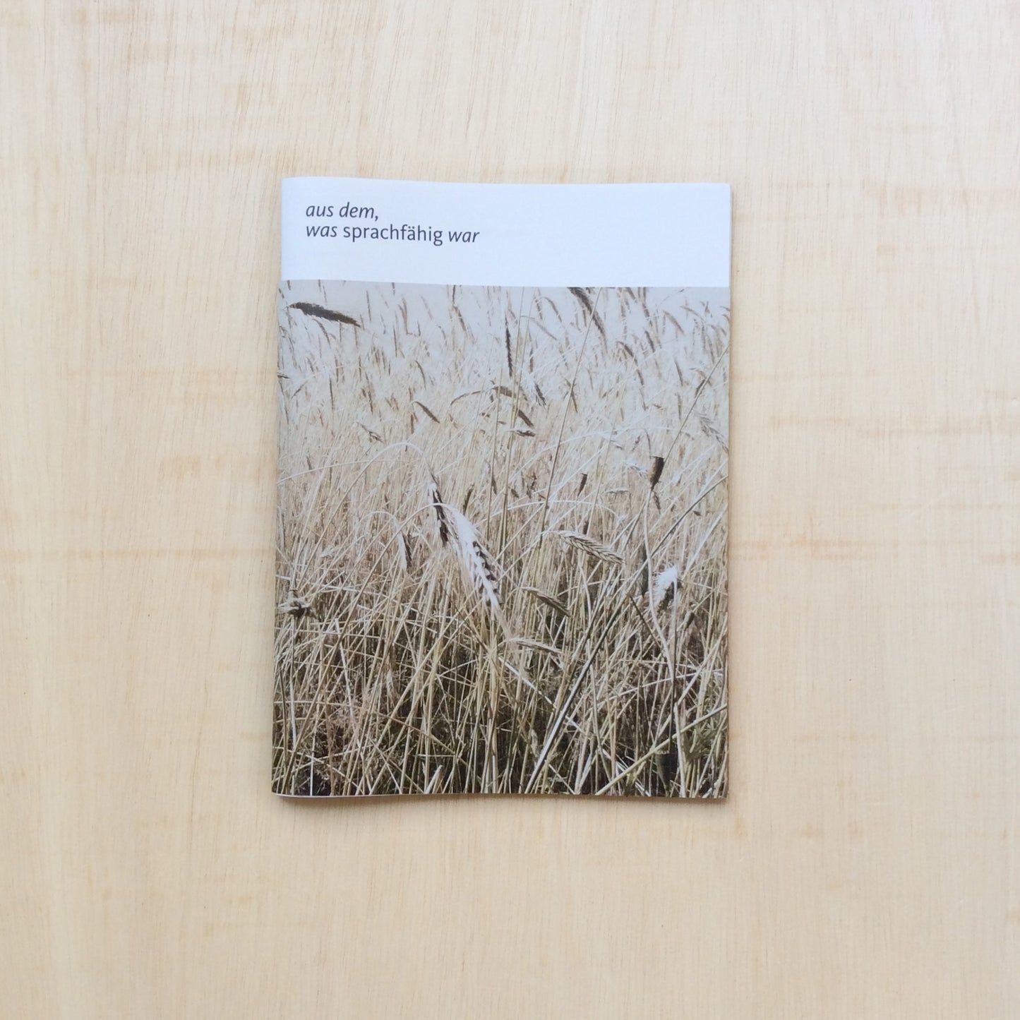 aus dem, was sprachfähig war - Versuche einer Annäherung an Sterben, Tod und Endlichkeit