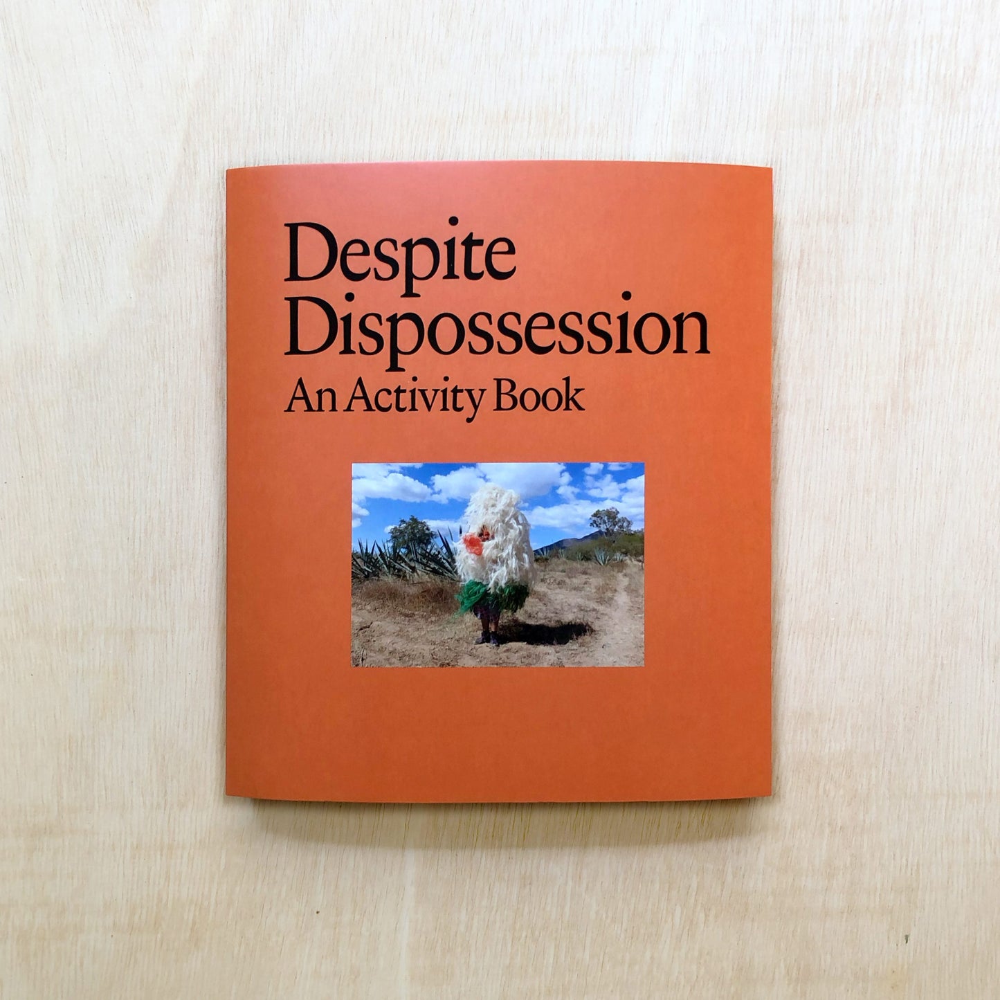Despite Dispossession: An Activity Book
