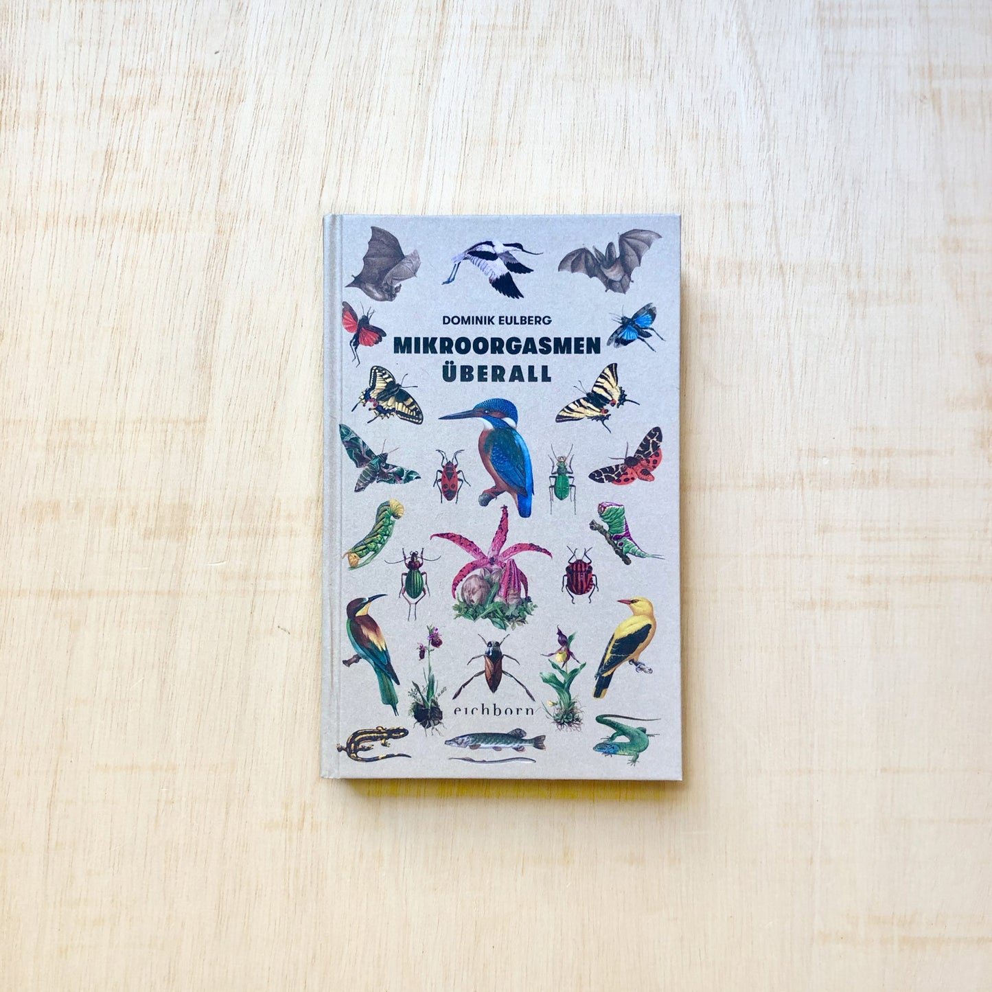 Mikroorgasmen überall