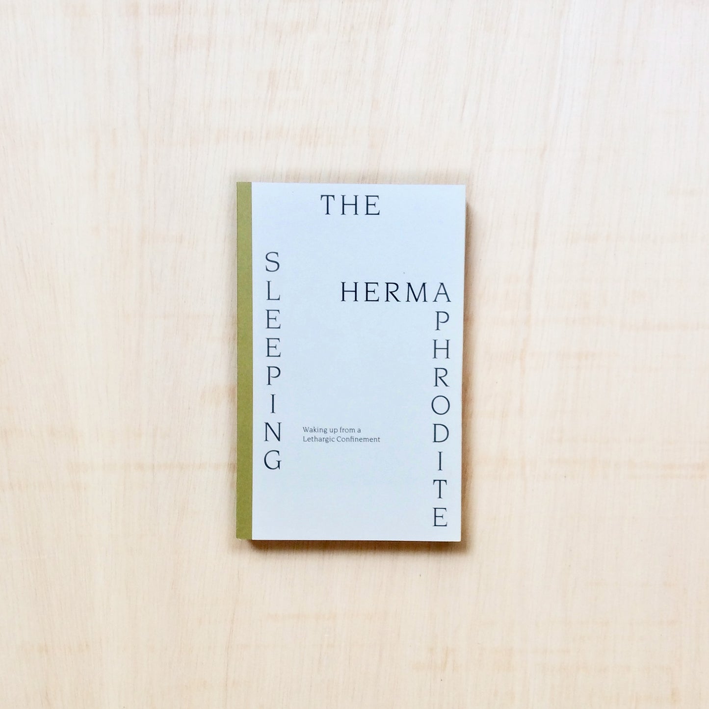 The Sleeping Hermaphrodite