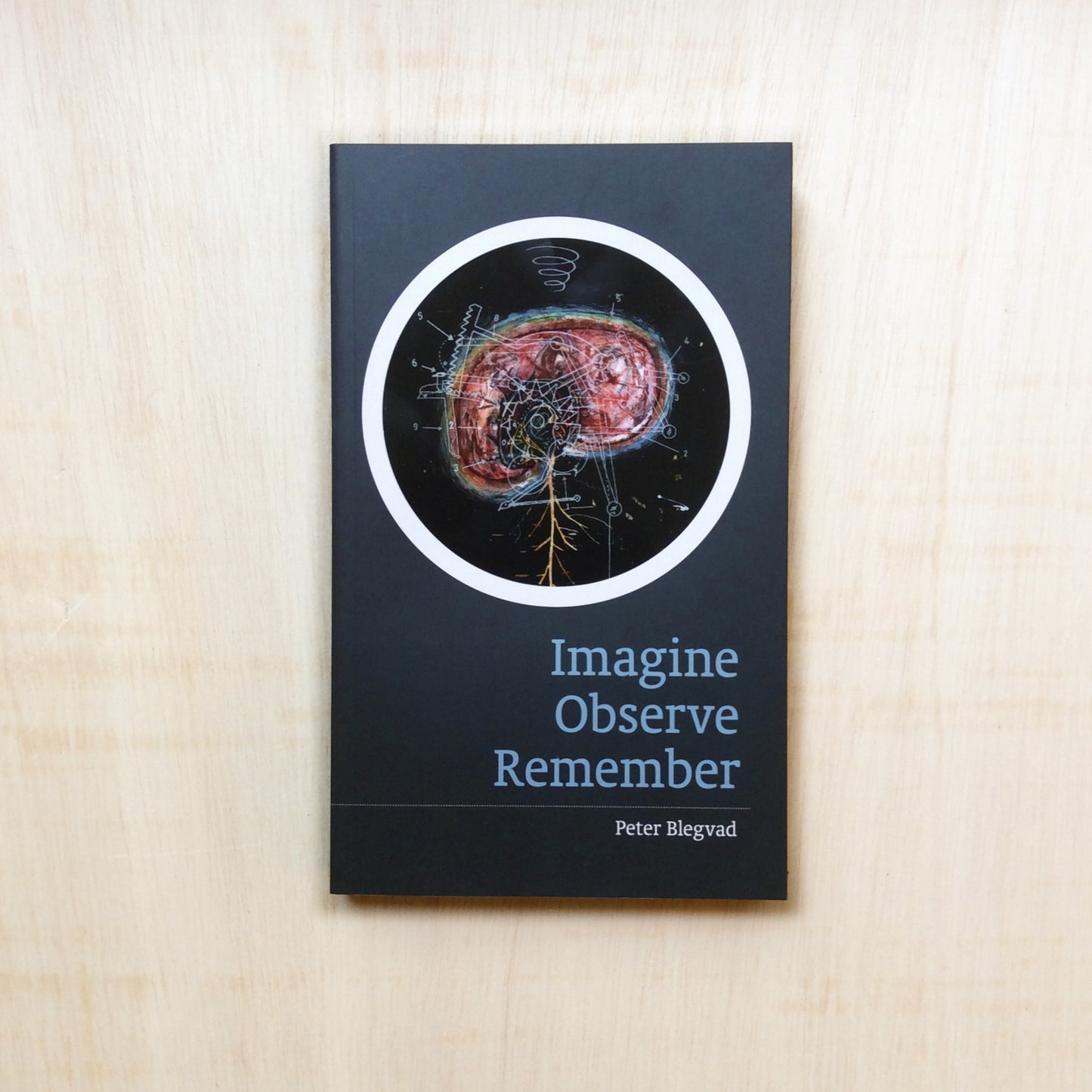 Imagine, Observe, Remember