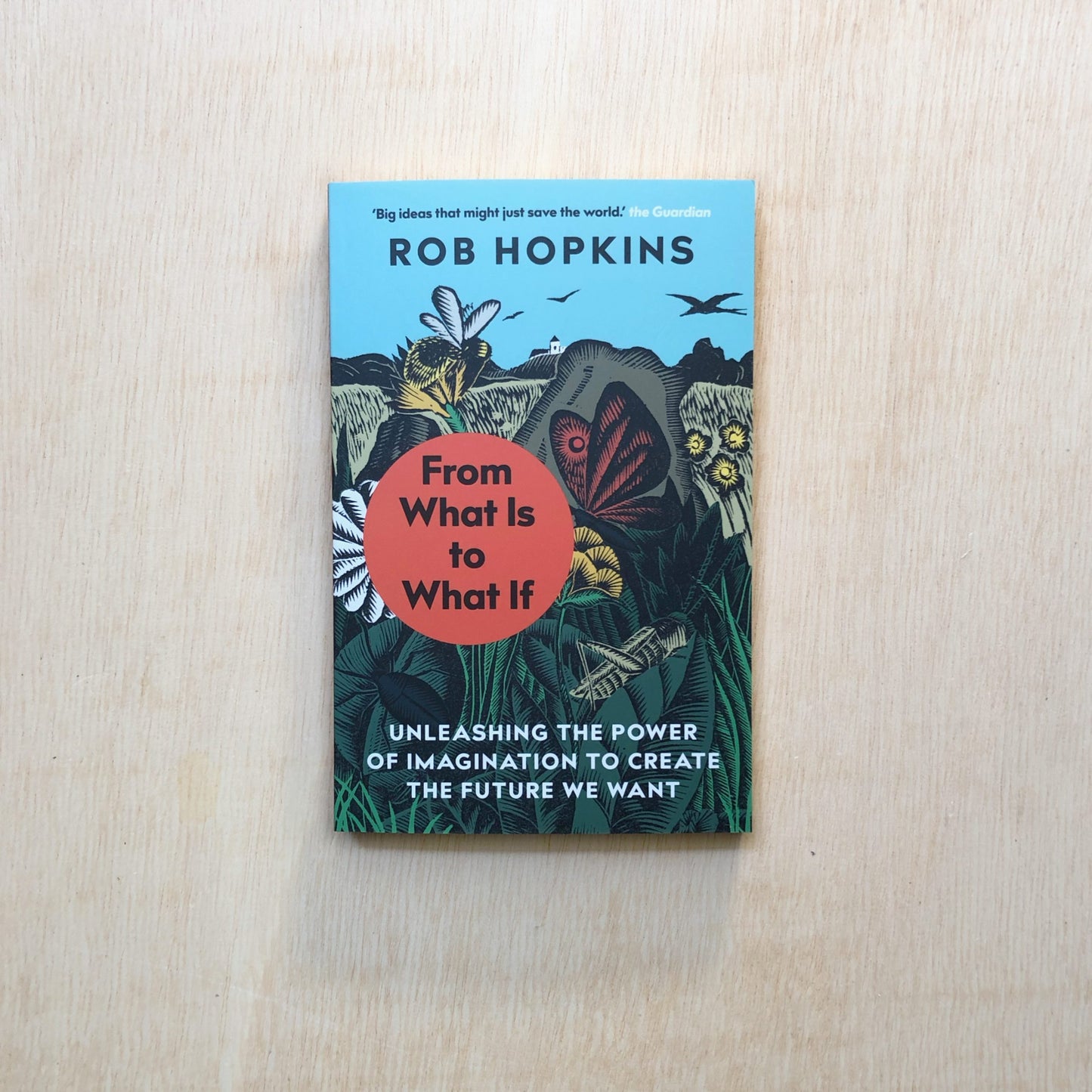 From What Is to What If - Softcover