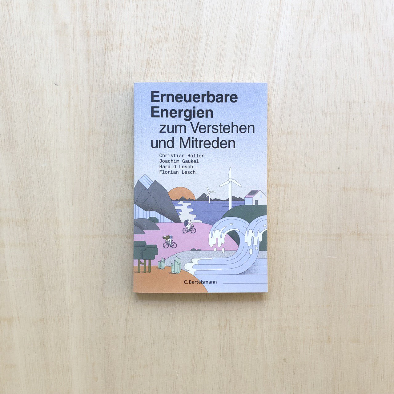 Erneuerbare Energien zum Verstehen und Mitreden