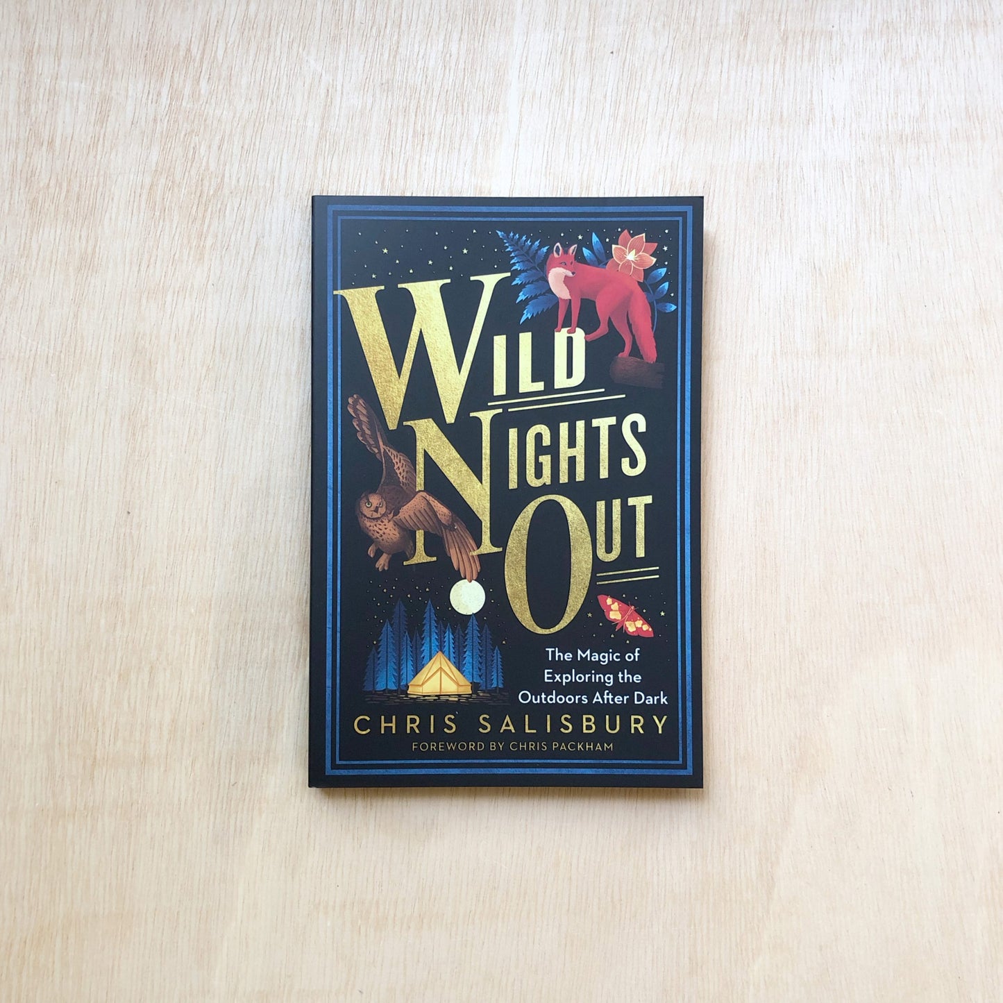 Wild Nights Out - The Magic of Exploring the Outdoors After Dark