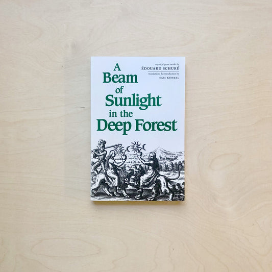 A Beam of Sunlight in the Deep Forest - Publisher out of Stock