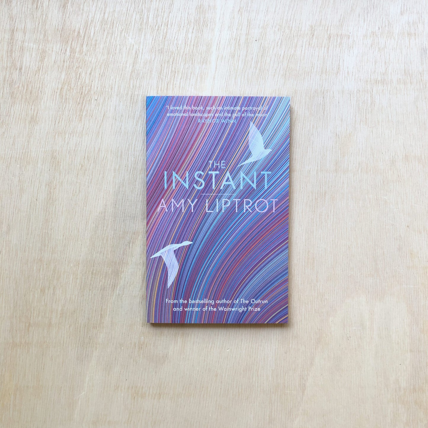The Instant - Softcover