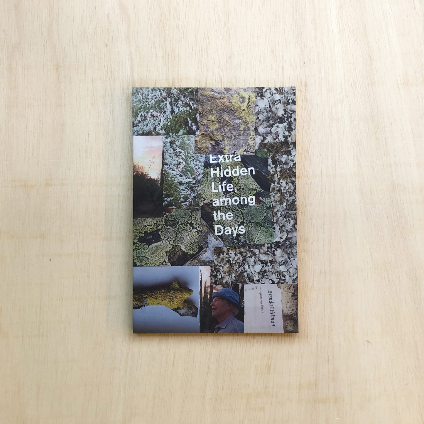 Extra Hidden Life, among the Days