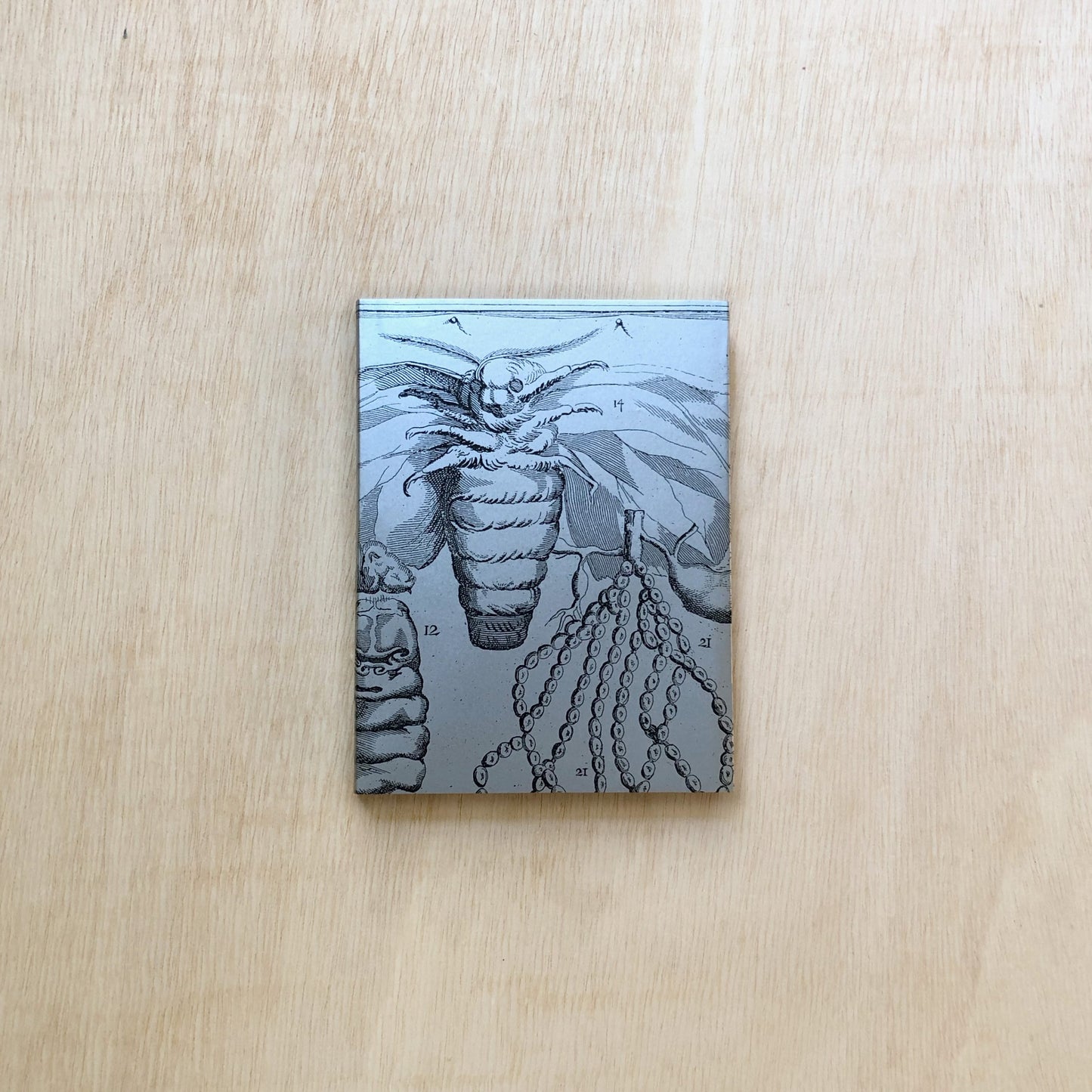 Fallschirmseide - μετάξυ αλεξιπτώτων