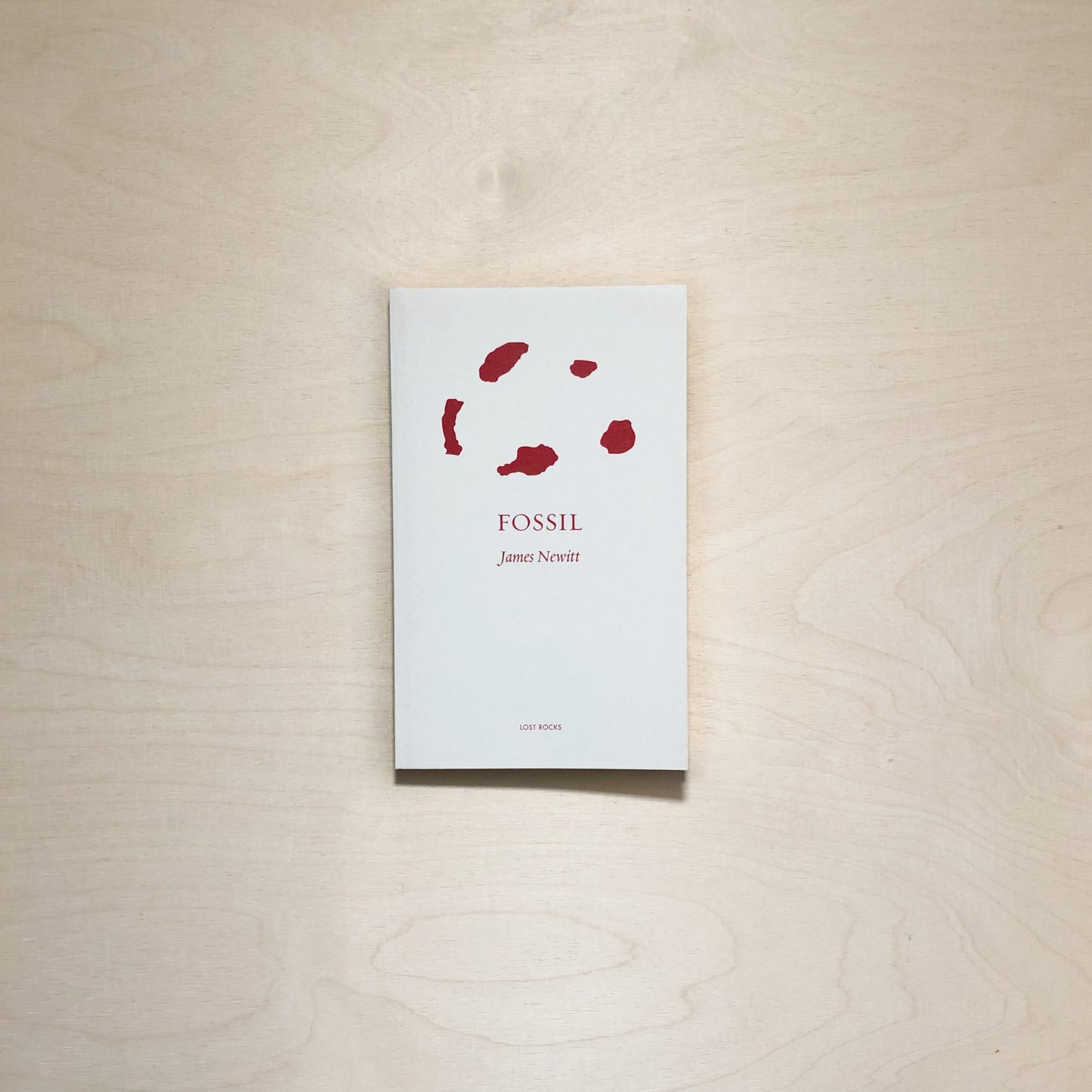 Fossil by James Newitt - Lost Rocks (09)