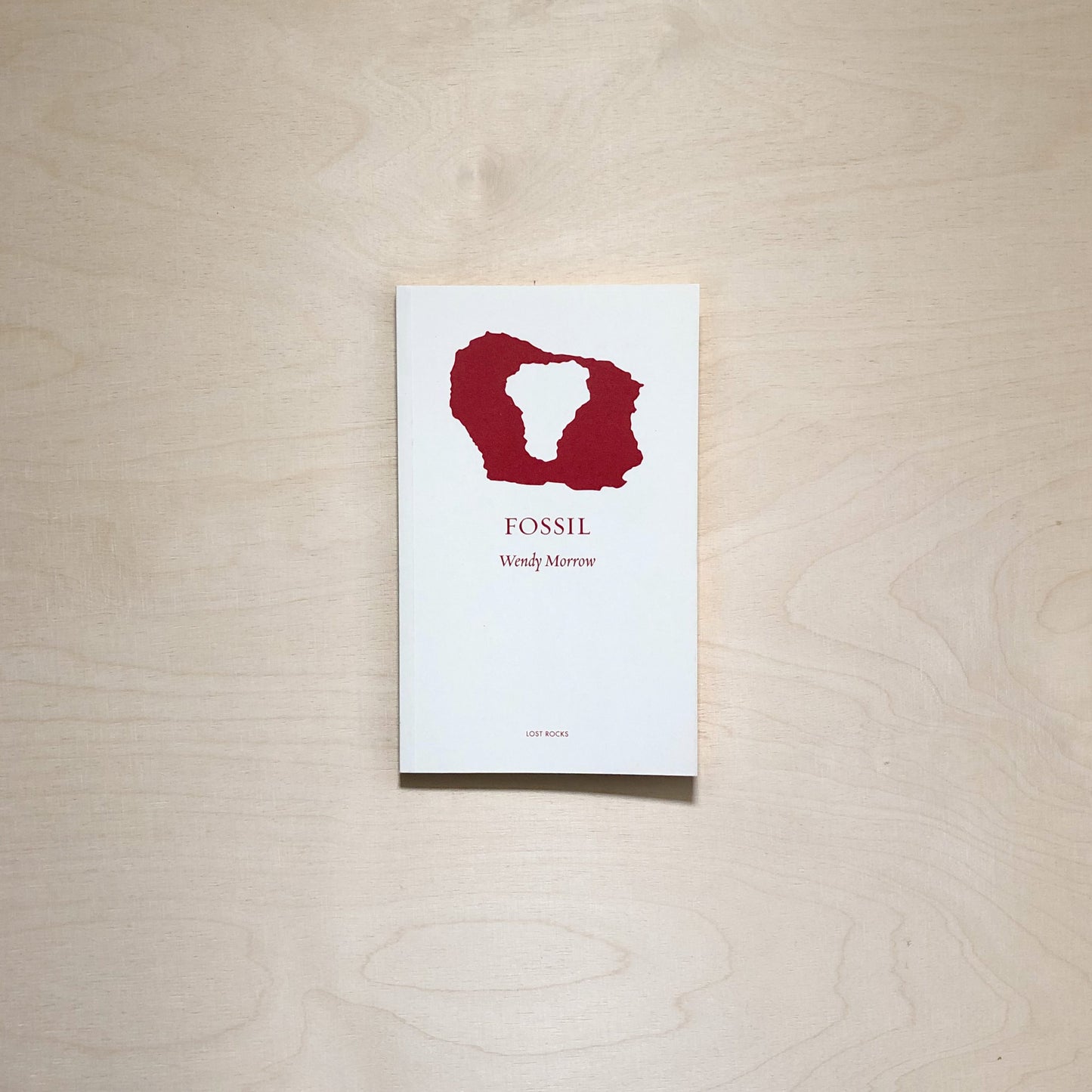 Fossil by Wendy Morrow - Lost Rocks (20)