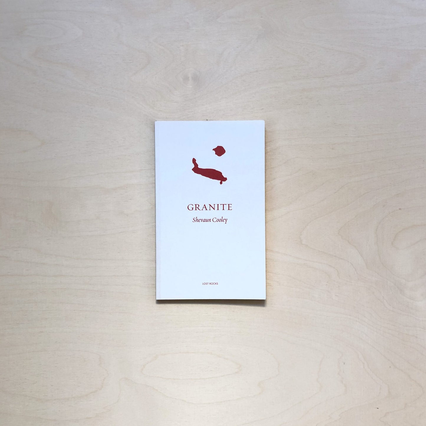 Granite by Shevaun Cooley - Lost Rocks (23)