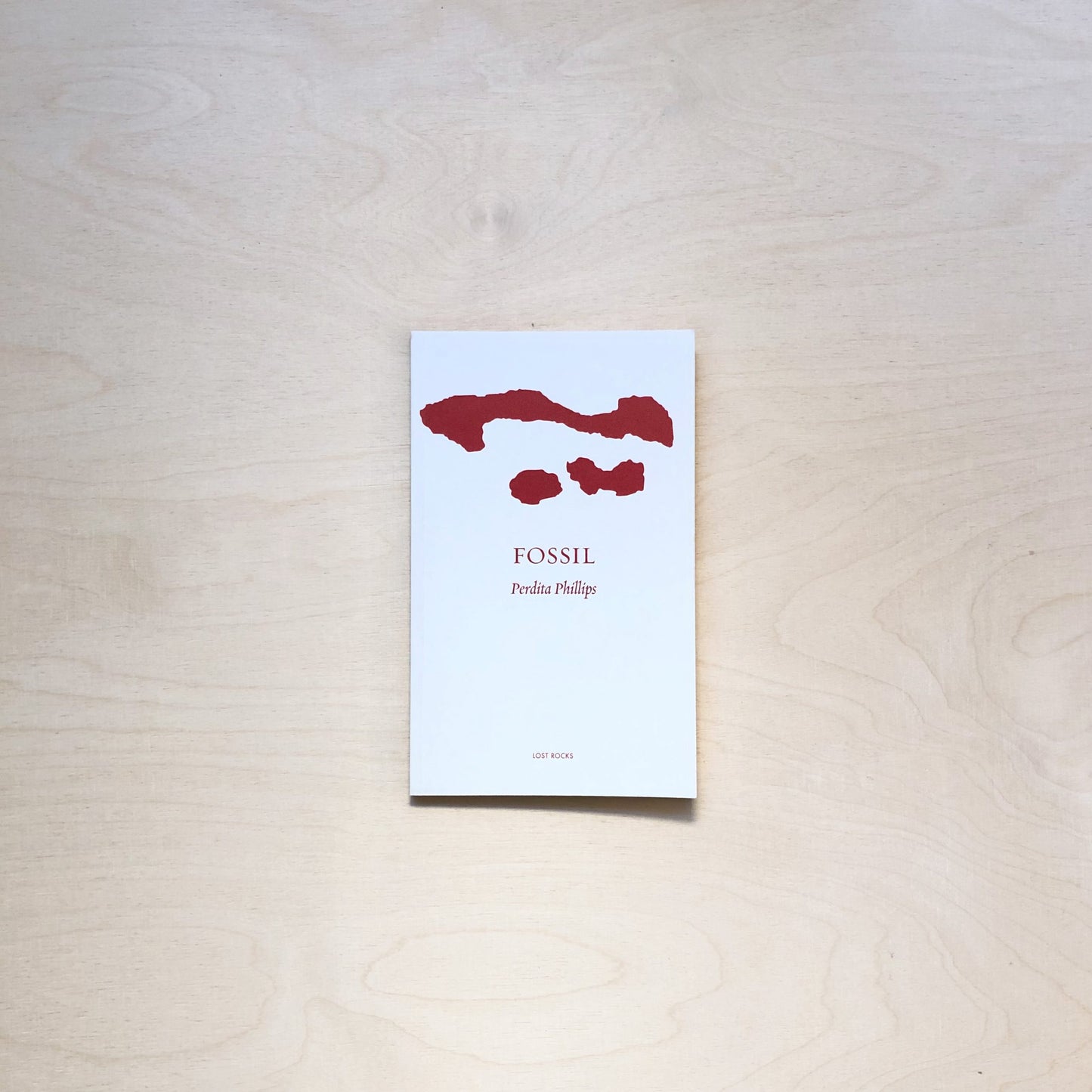 Fossil by Perdita Phillips - Lost Rocks (24)