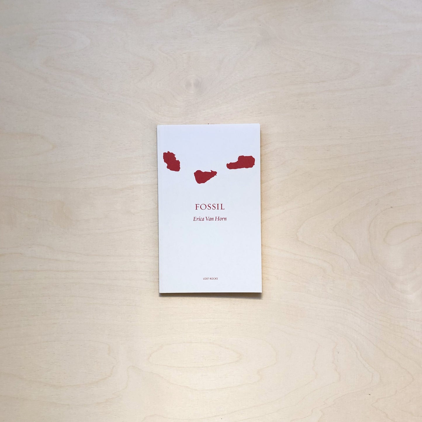 Fossil by Erica Van Horn - Lost Rocks (33)