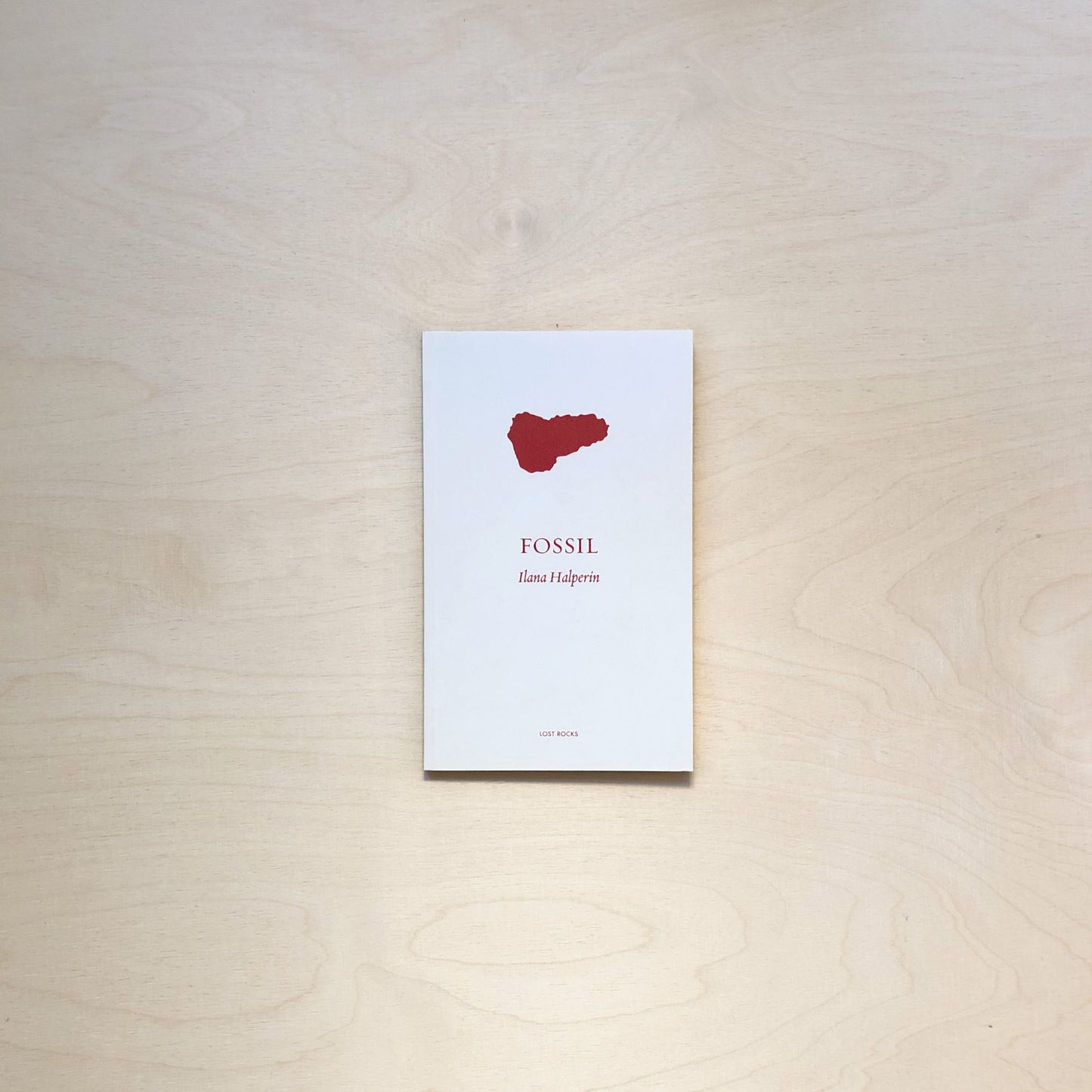 Fossil by Ilana Halperin - Lost Rocks (34)