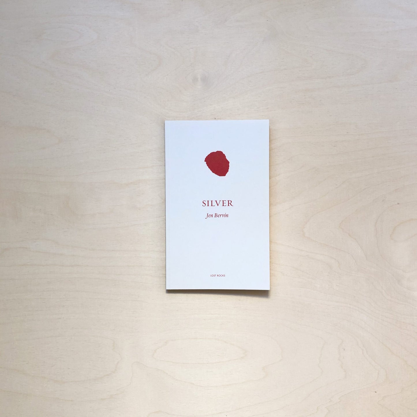 Silver by Jen Bervin - Lost Rocks (35)