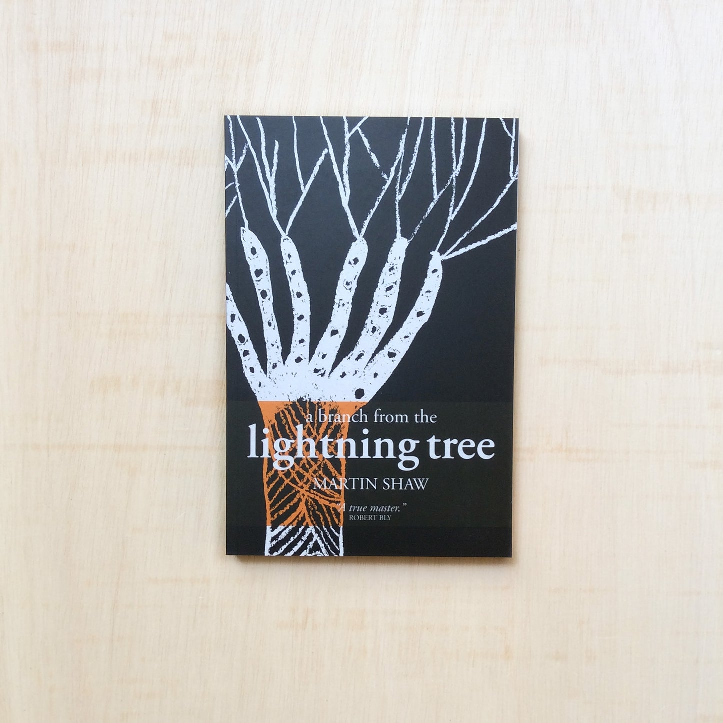 A Branch from the Lightning Tree