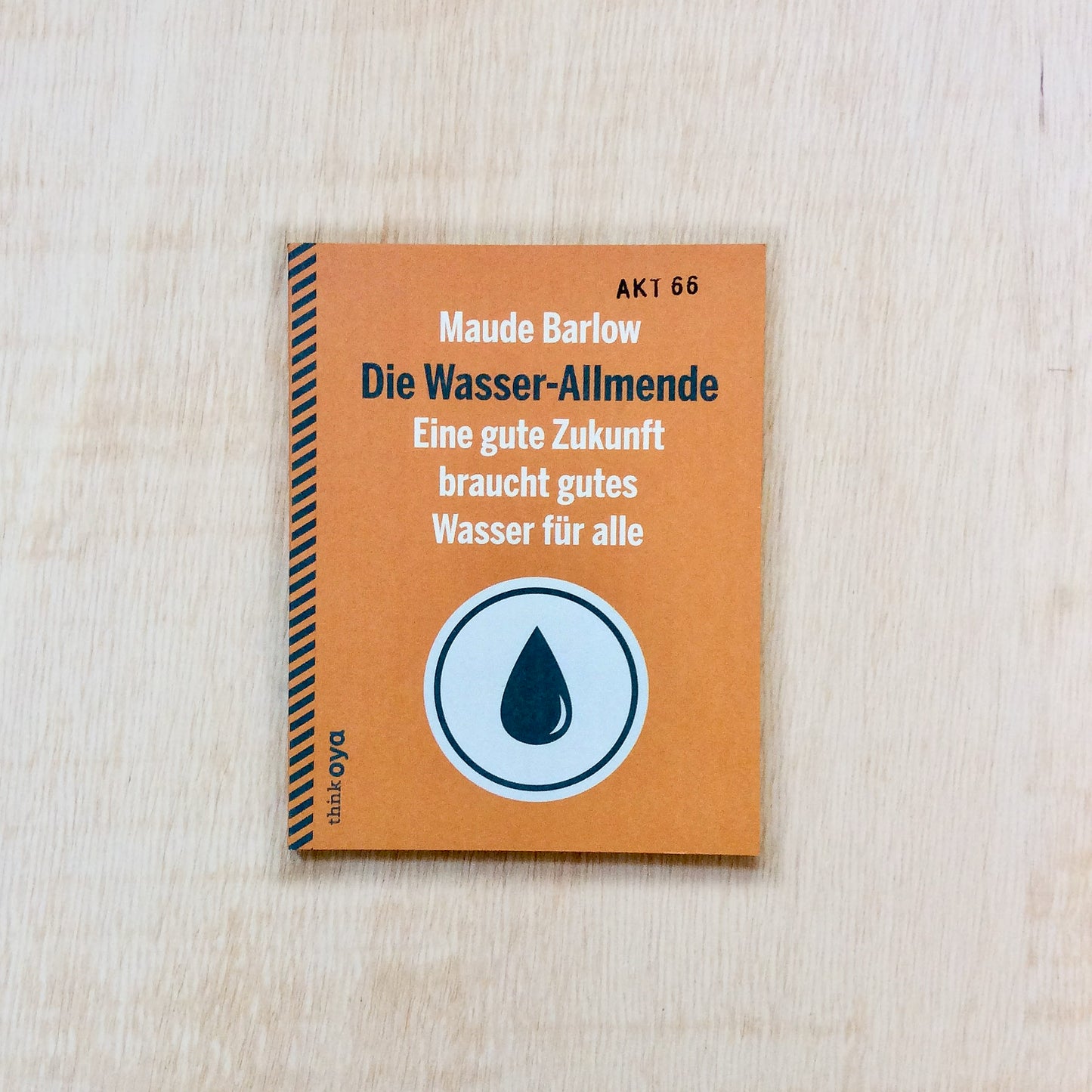 Die Wasser-Allmende Eine gute Zukunft braucht gutes Wasser für