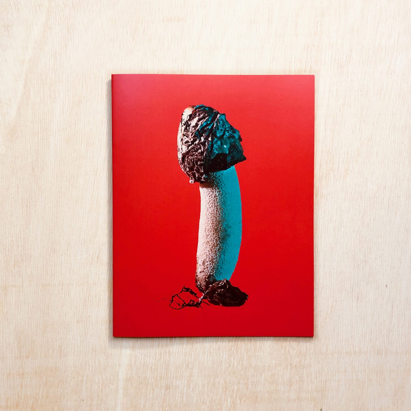 Mushrooms and Friends Zine #3