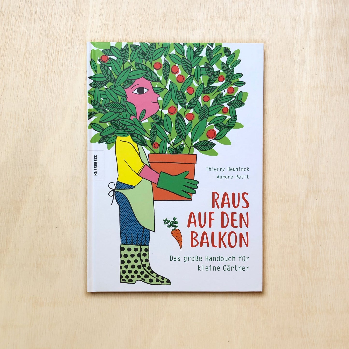 Raus auf den Balkon! Das große Handbuch für kleine Gärtner
