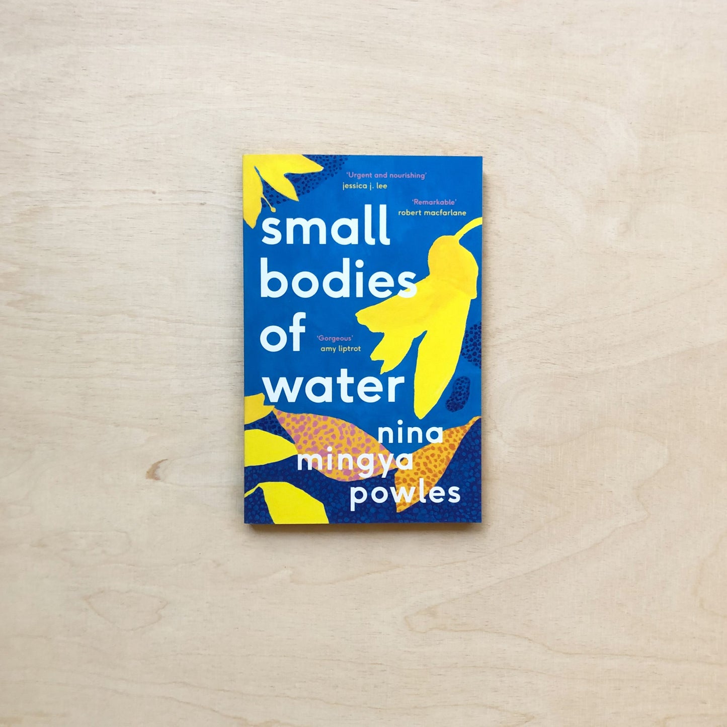Small Bodies of Water - Paperback (Winner Nan Shepherd Prize 2019)