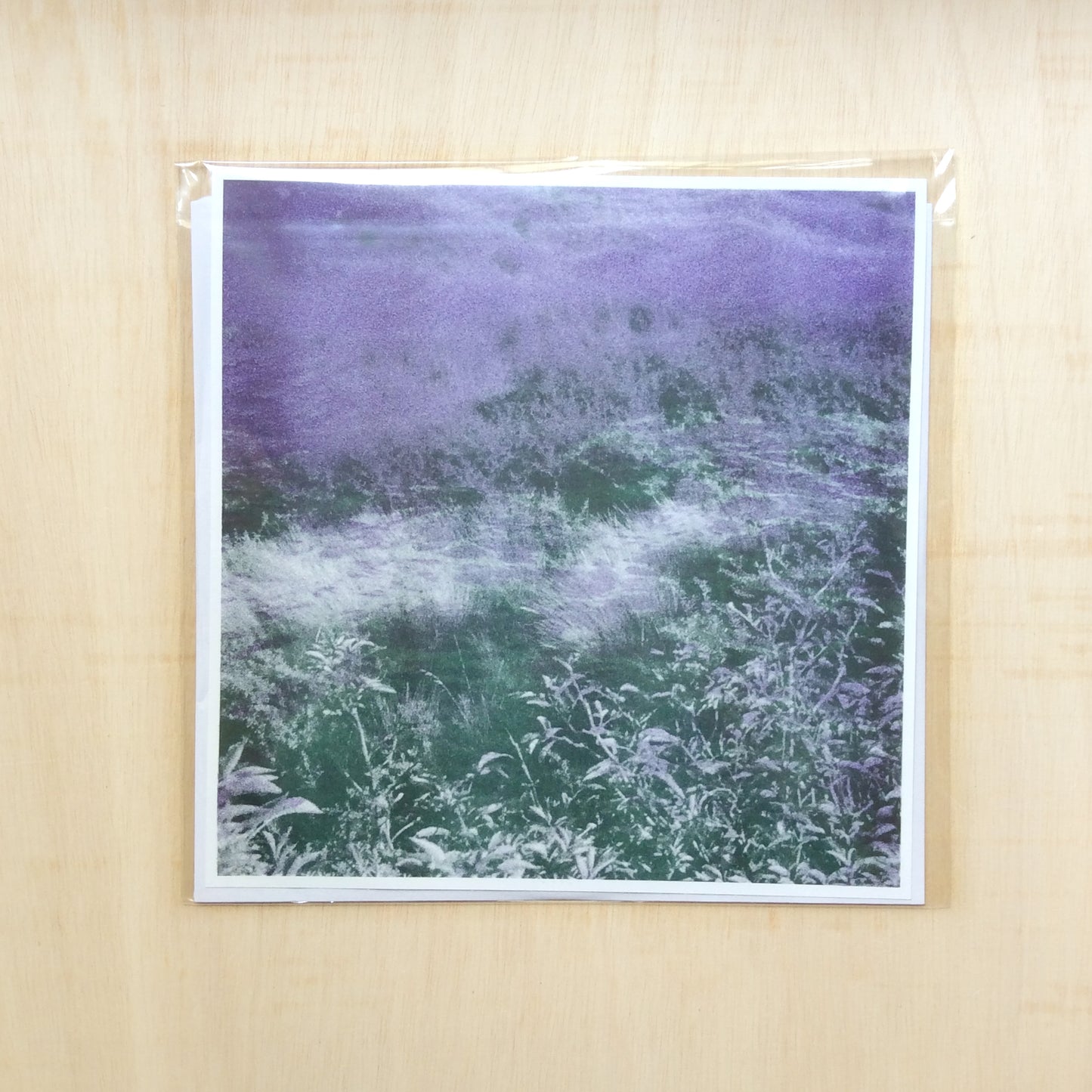 Sybella Perry - Rustic Airs - Vinyl LP