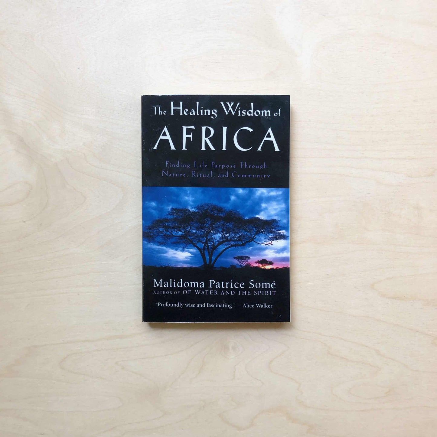 The Healing Wisdom of Africa - Finding Life Purpose Through Nature, Ritual, and Community - out of print