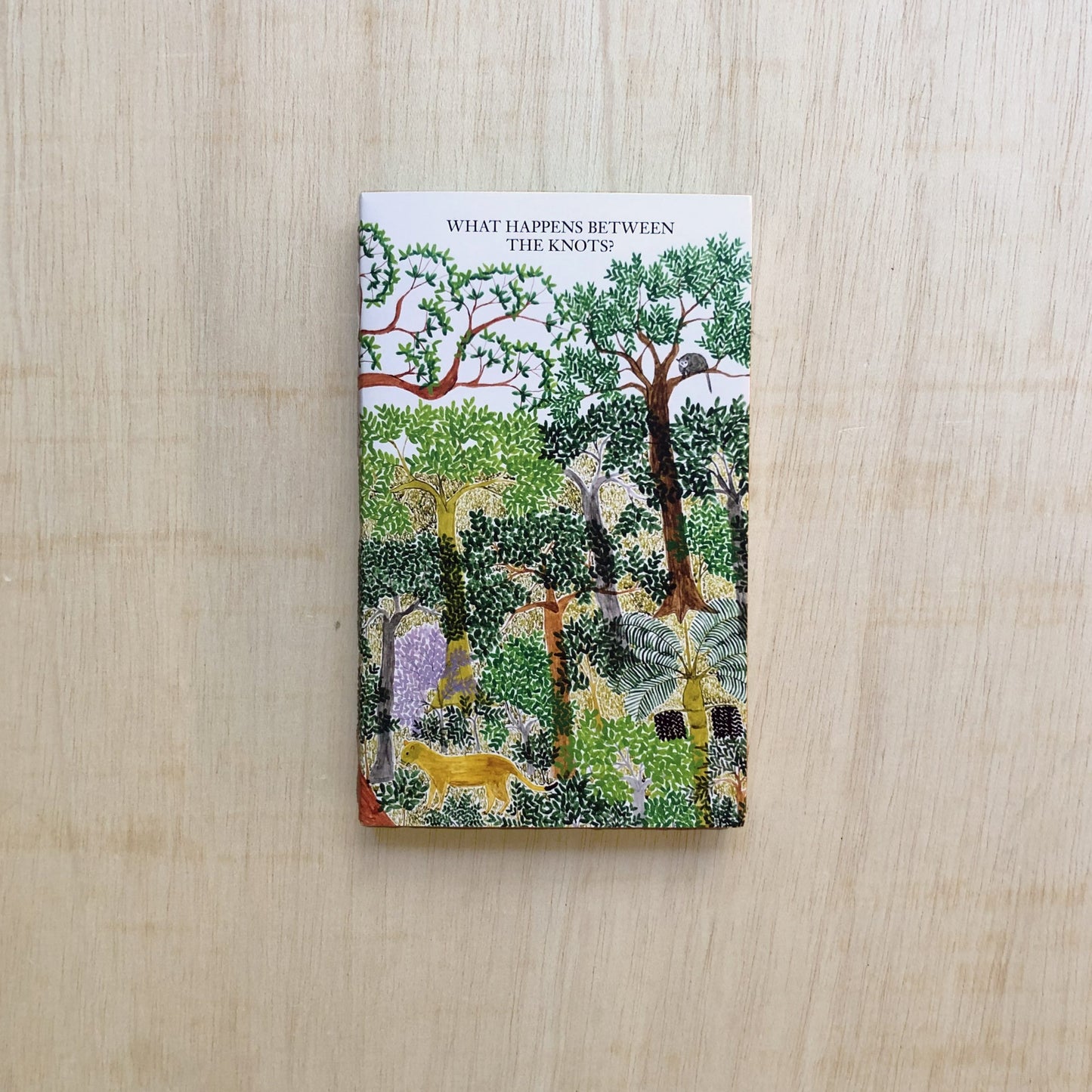 What happens between the knots? - A Series of Open Questions - Reprinting