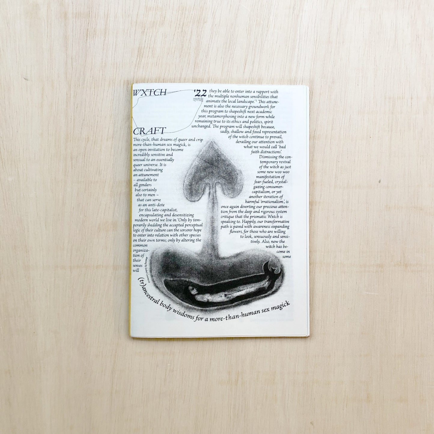 Wxtch Craft Zine - Spring 22 (Edition3): Toward a Queer Ecofeminism