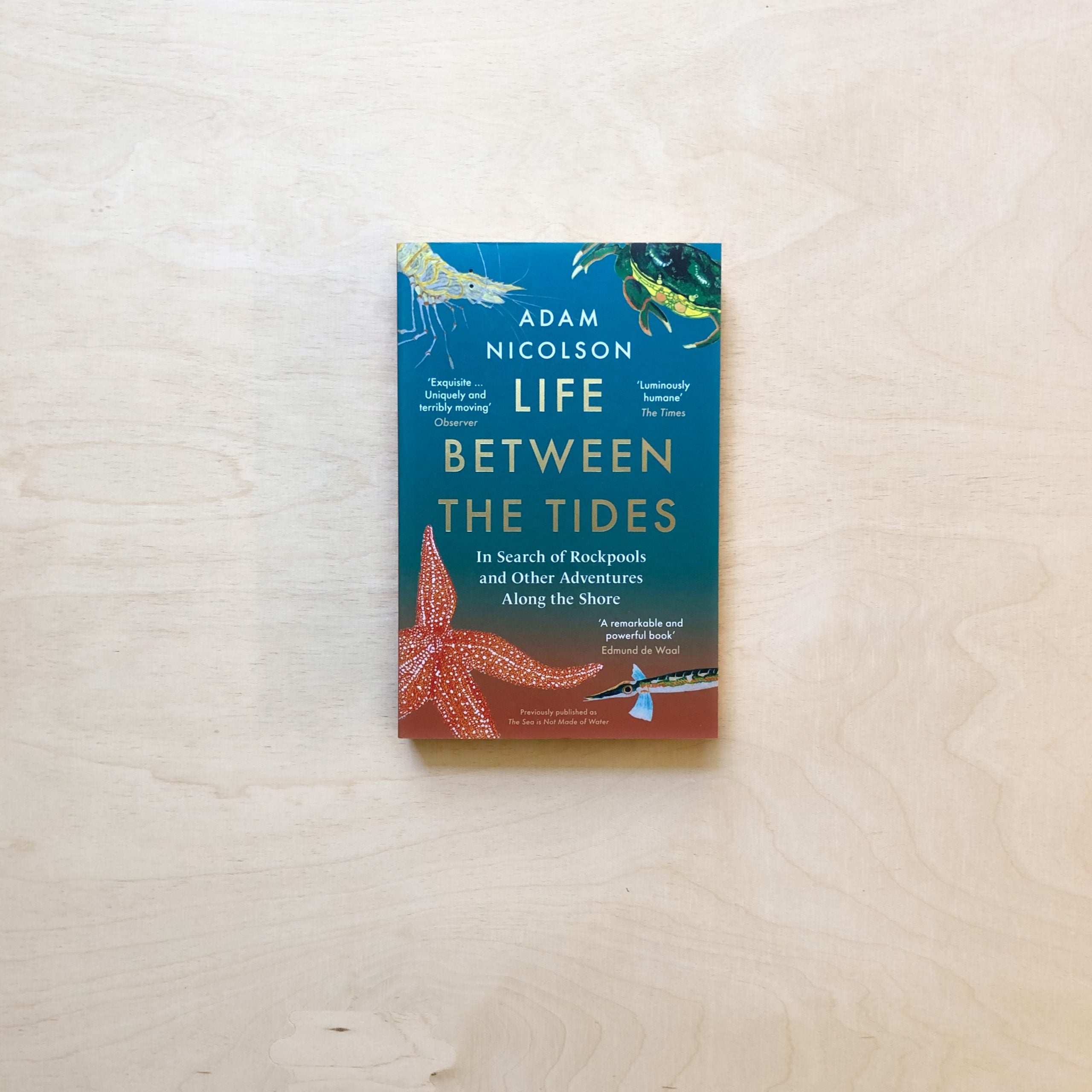 Life Between the Tides by Adam Nicolson (9780008294816/Paperback